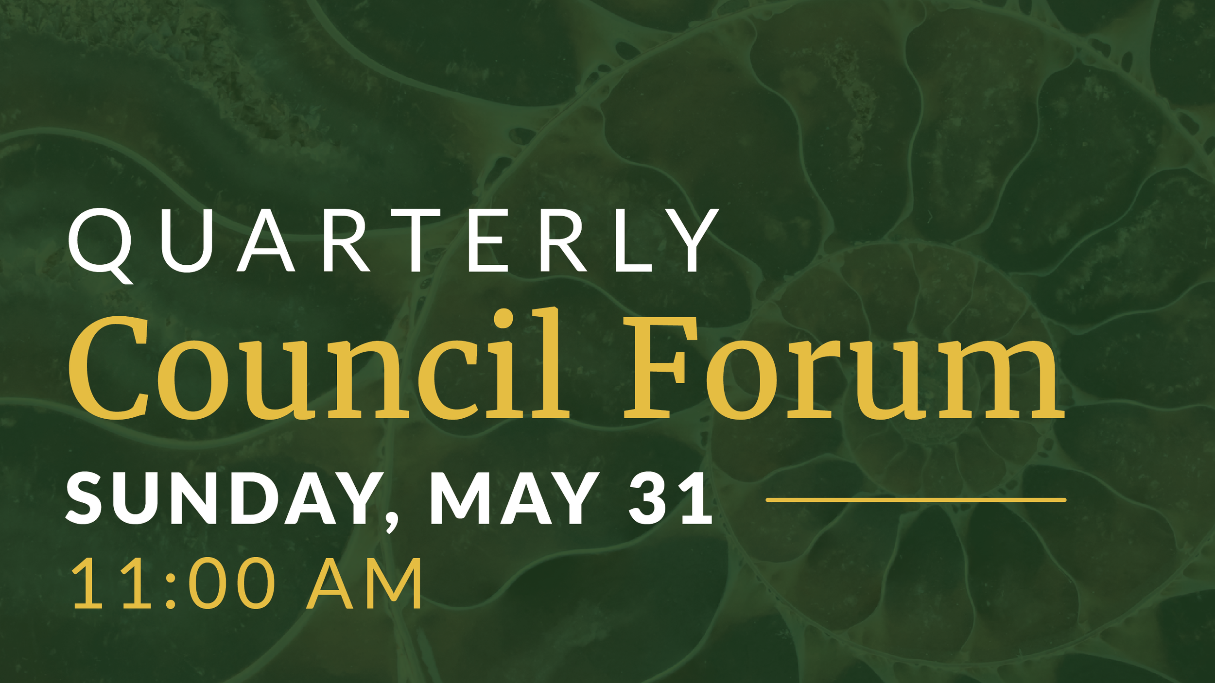 Quarterly Council Forum