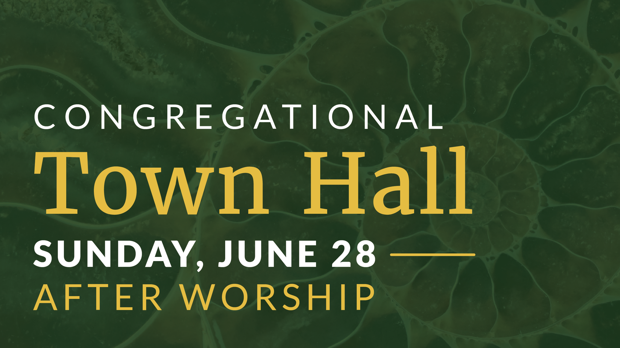 Congregational Town Hall Meeting