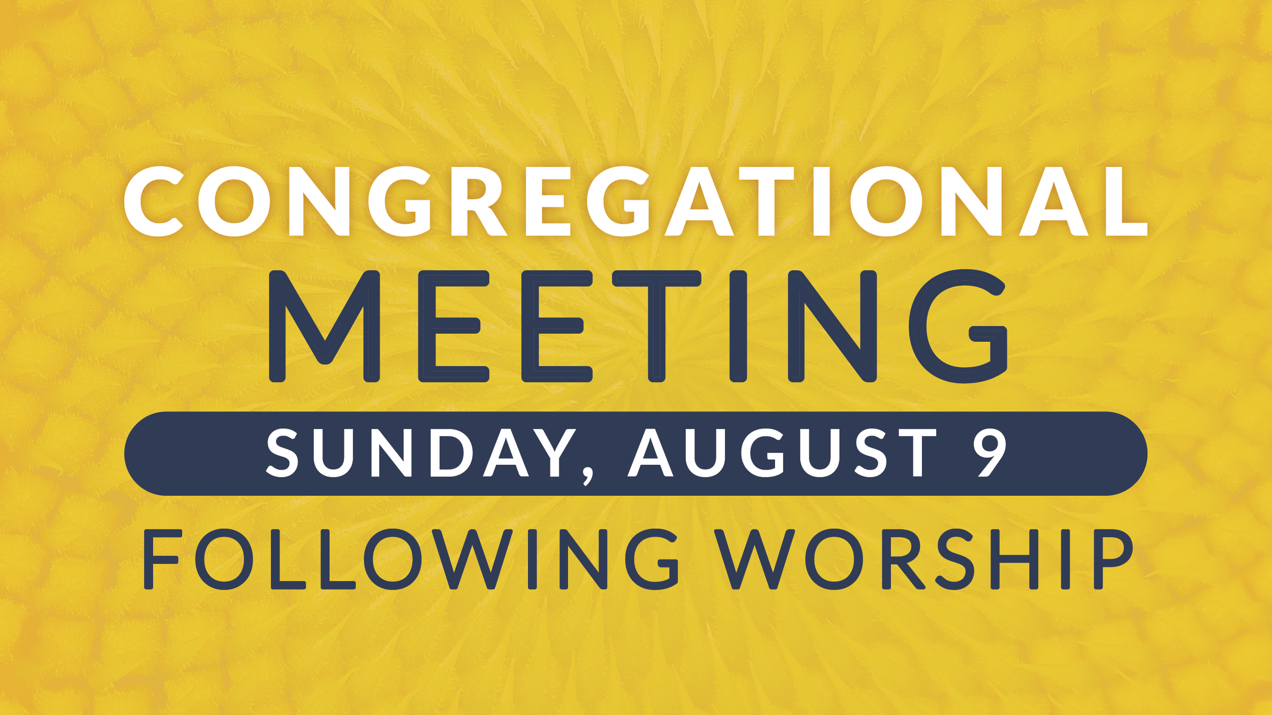 Congregational Meeting