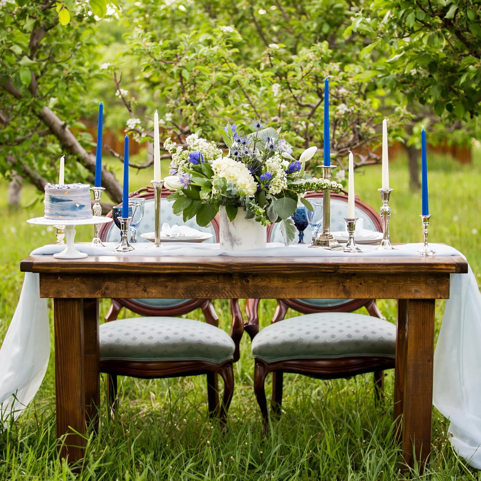 Blue Patterned Chairs