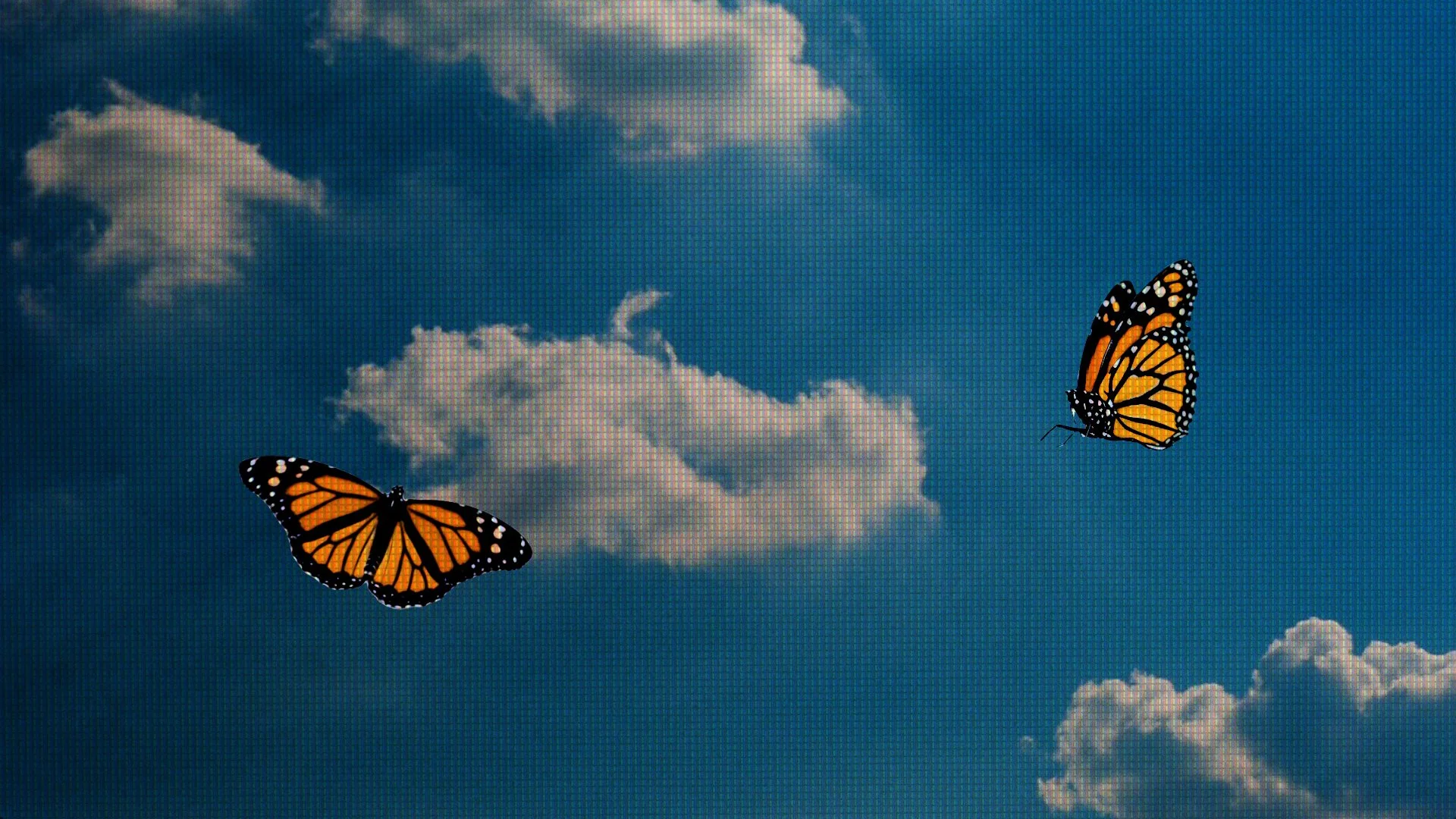 The Sky is Diasporic Space_Static BG.jpg