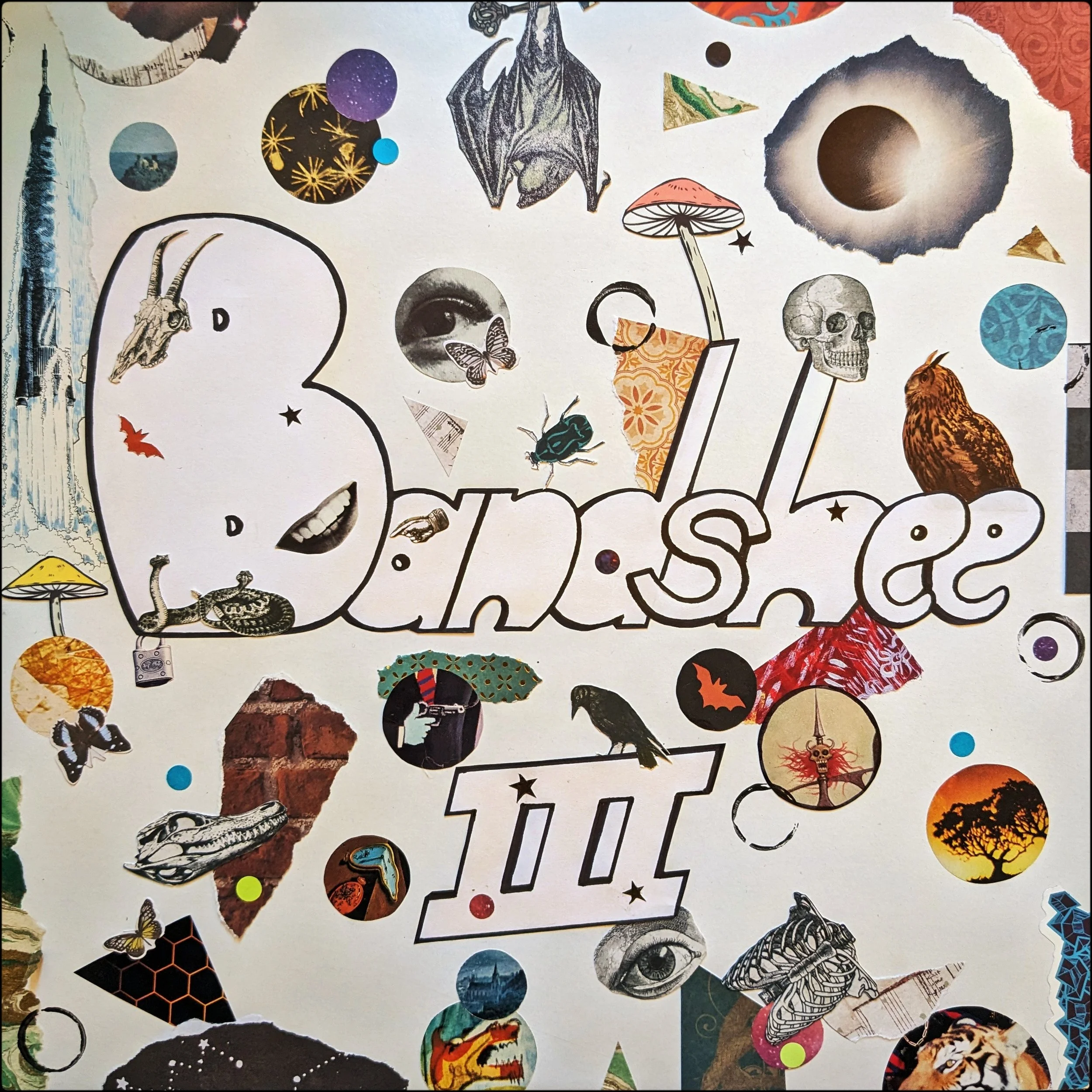 Artist: Molly Broadhurst