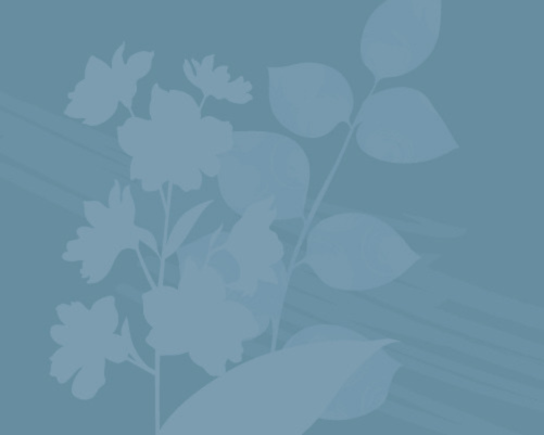 Hike for Hospice: DONATE TO A TEAM, or Create, or Join a Fundraising Team