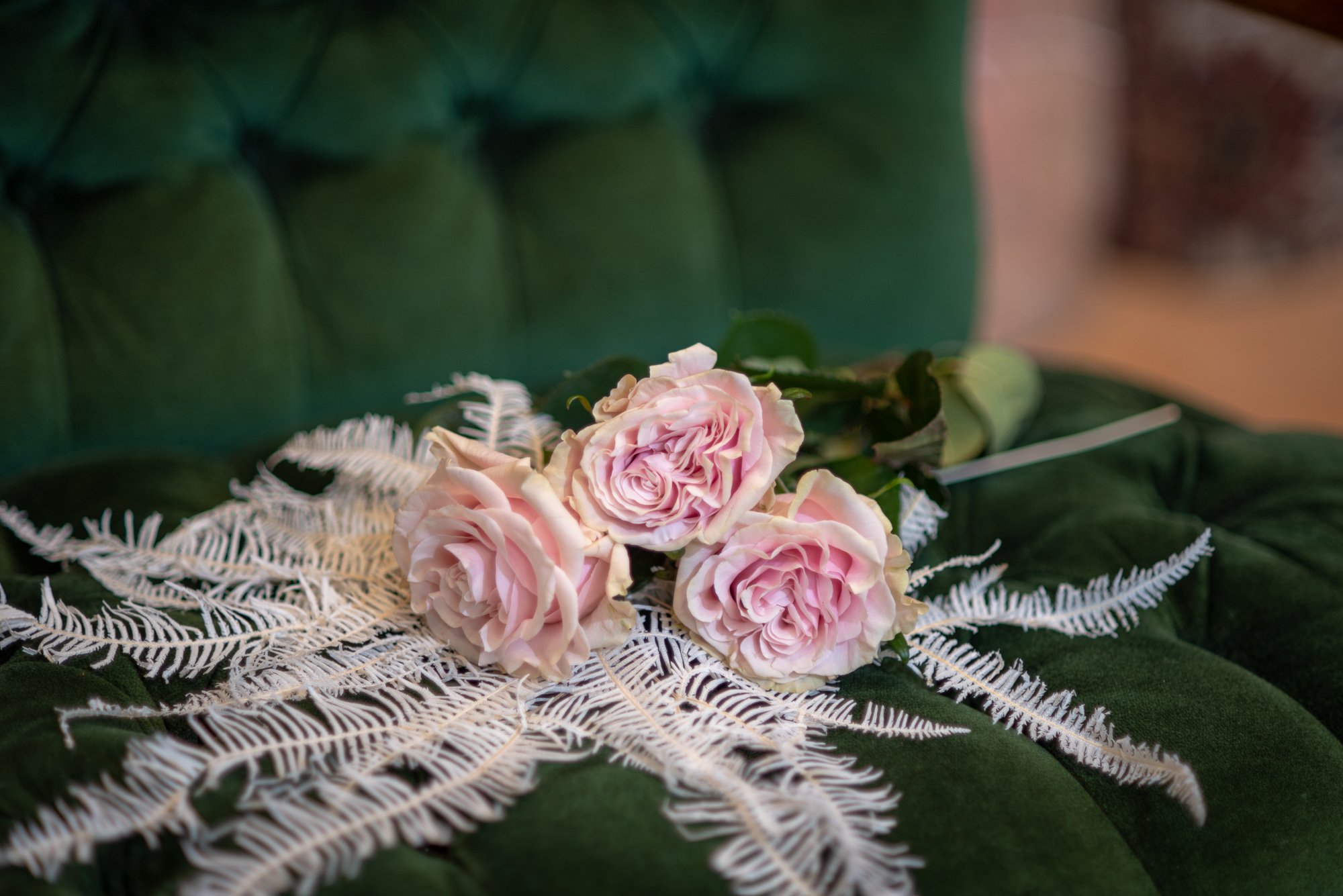 amy-haberland-photography-49.jpg