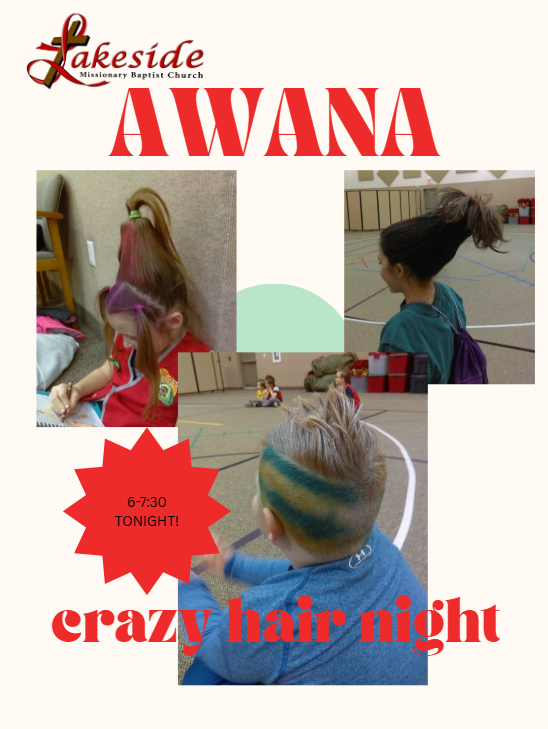 AWANA -crazy Hair