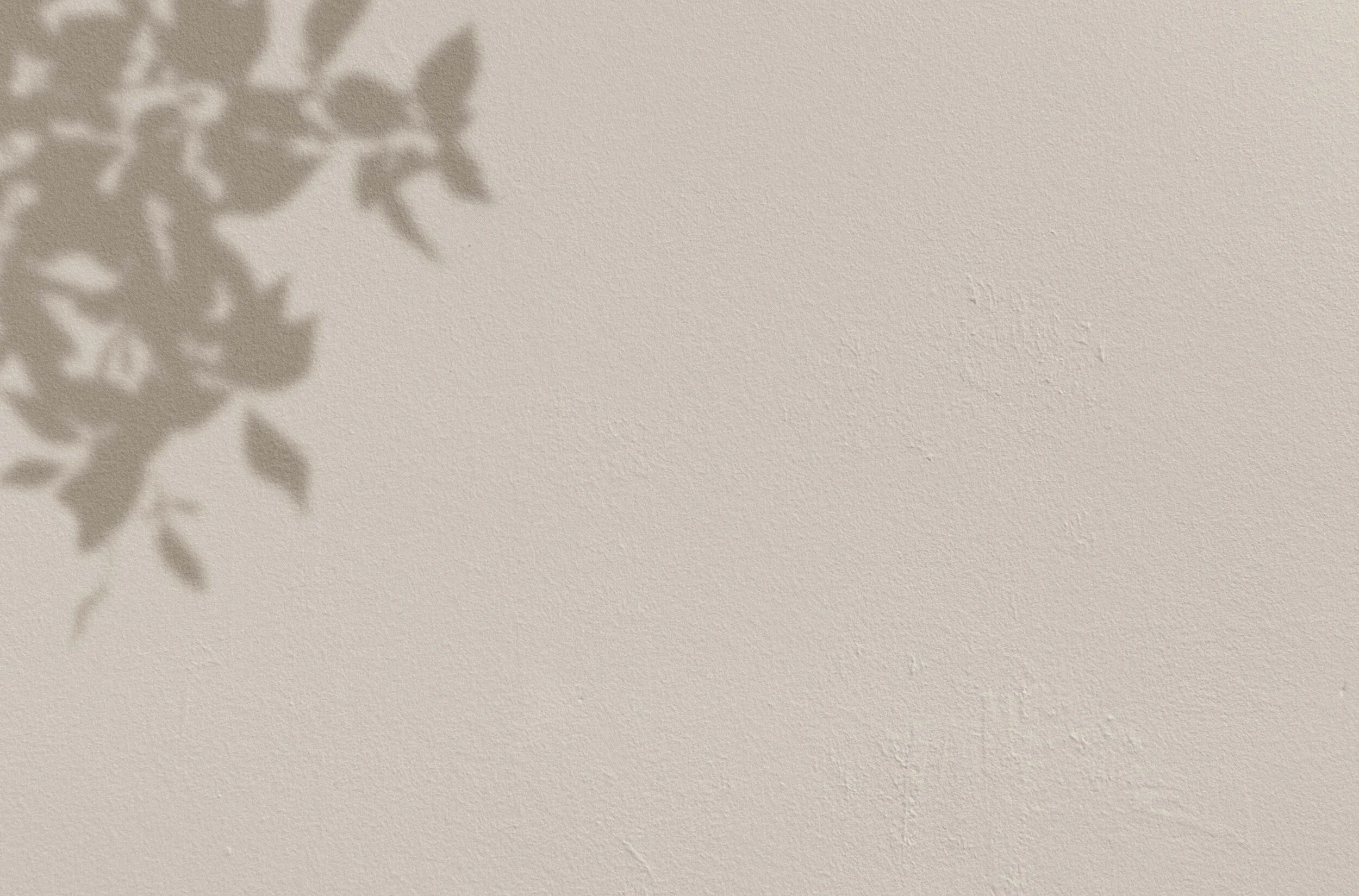 Subscribe banner.jpg