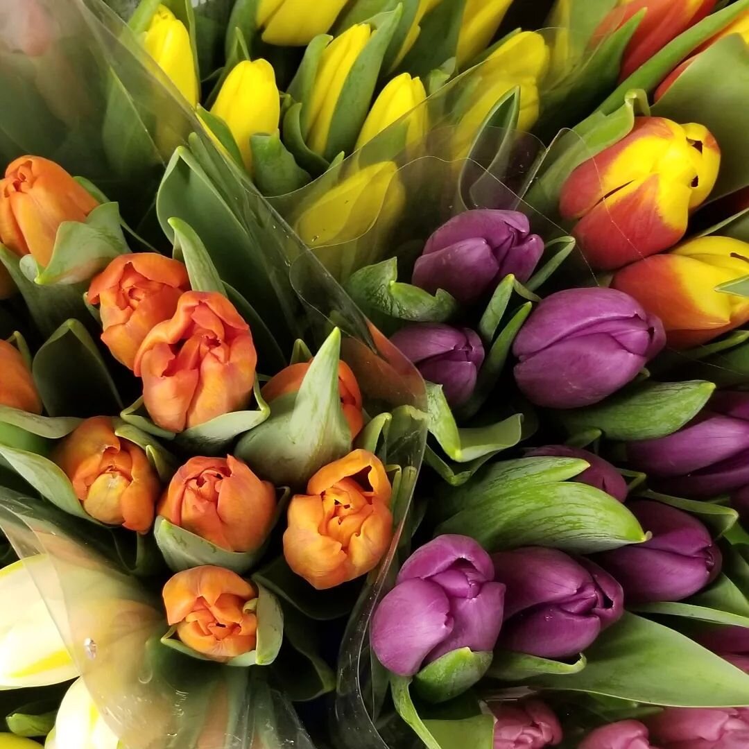 Happy Spring!...in Holland that is. Dutch tulips arrived today. Stop by and grab your bunch!