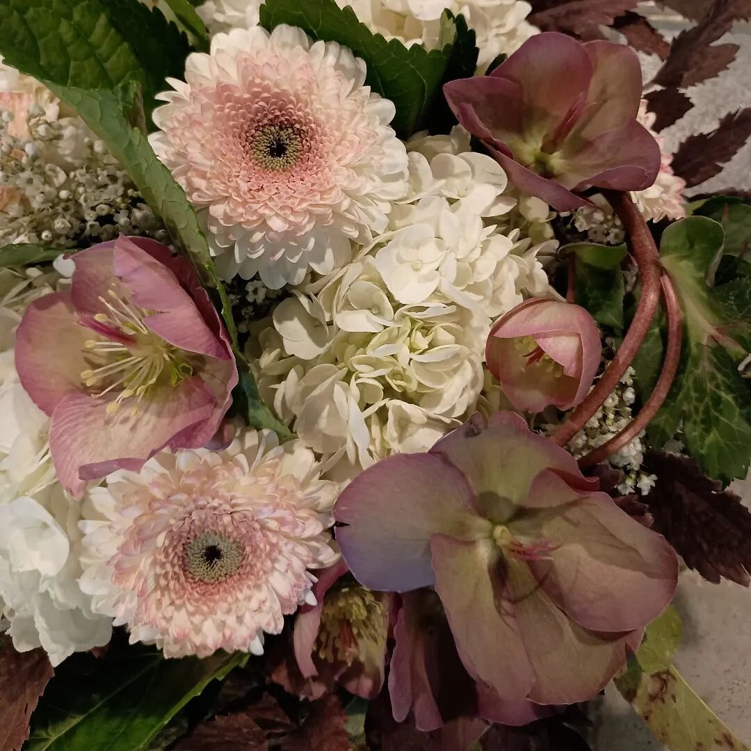 Soft Gerpoms, Hellebores and Hydrangea #almostspring #pastel #floralcenterpiece