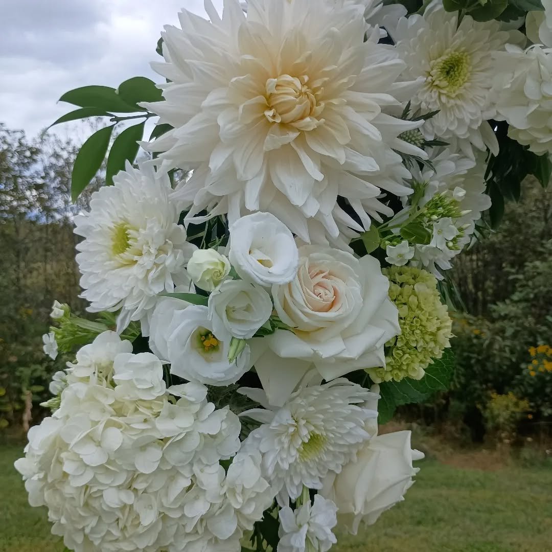 Wedding featuring local Dahlias.