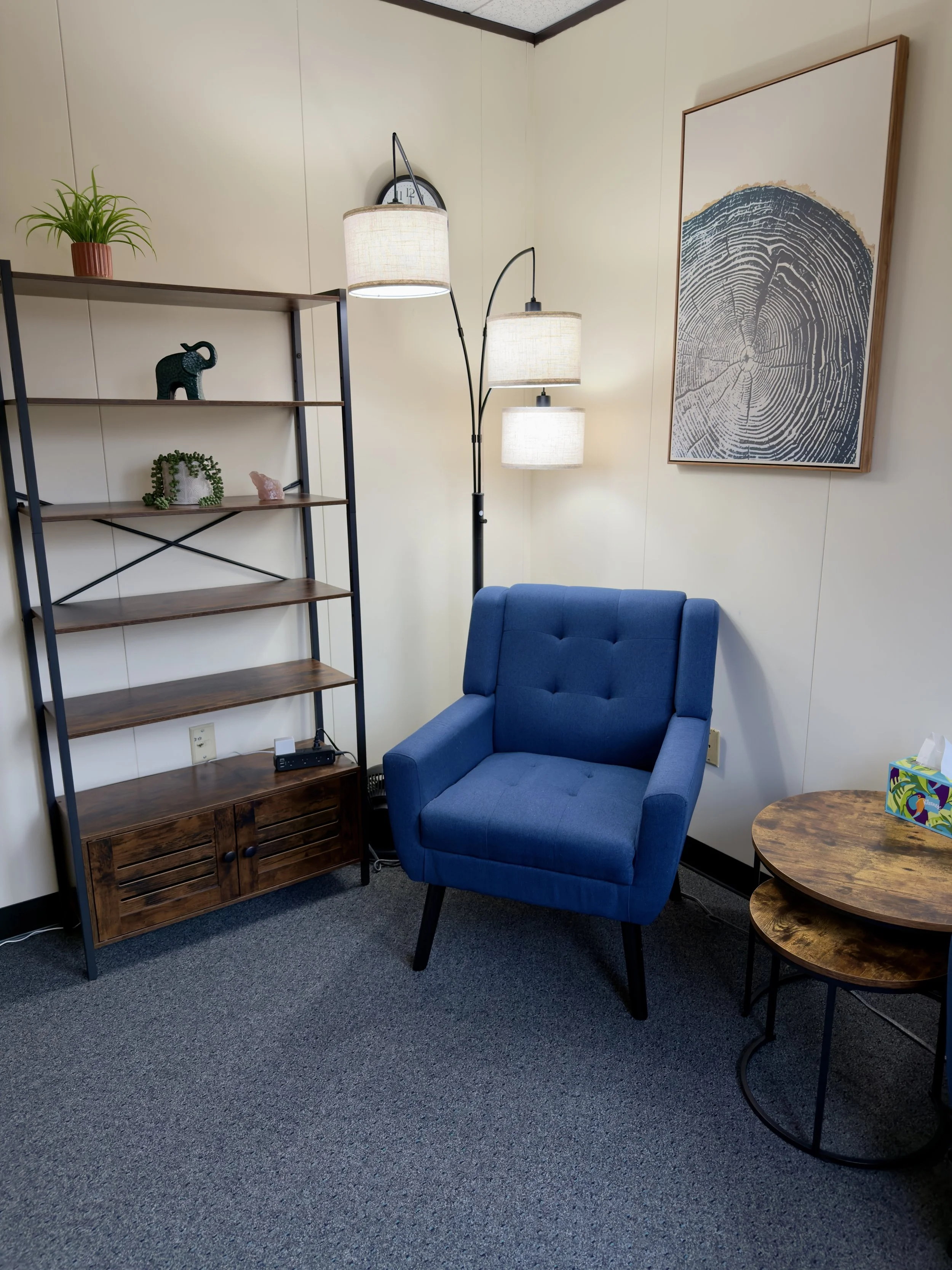 Anxiety, Depression, EMDR Therapy in Massachusetts 