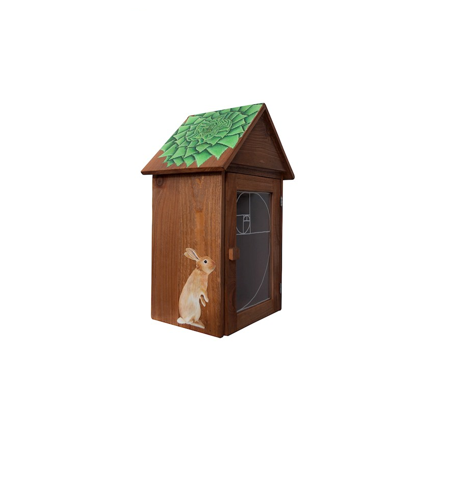 Little Free Library