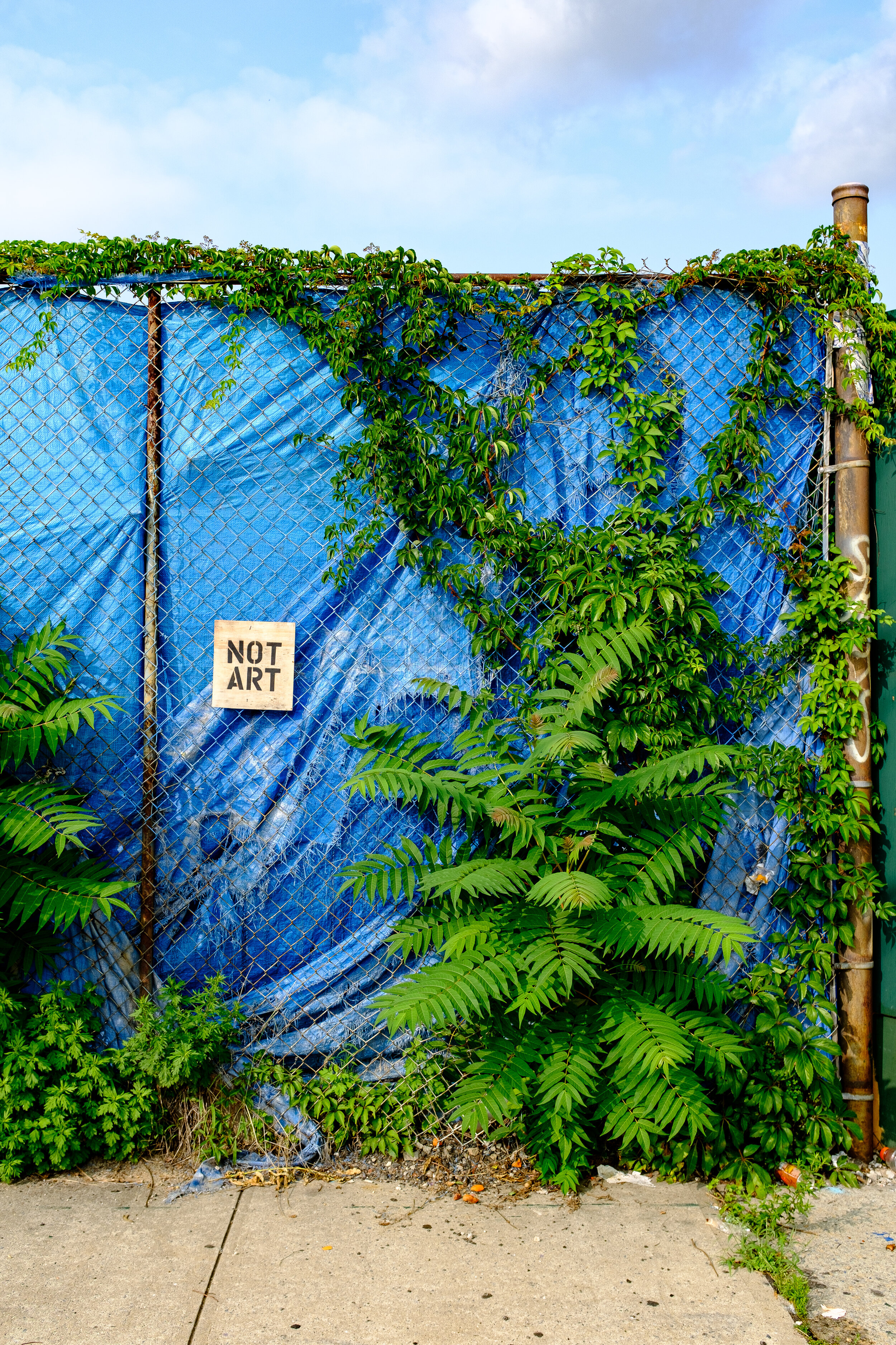 "Not Art" sign hanging on metal fencing, in front of blue trap and surrounded by green shrubbery