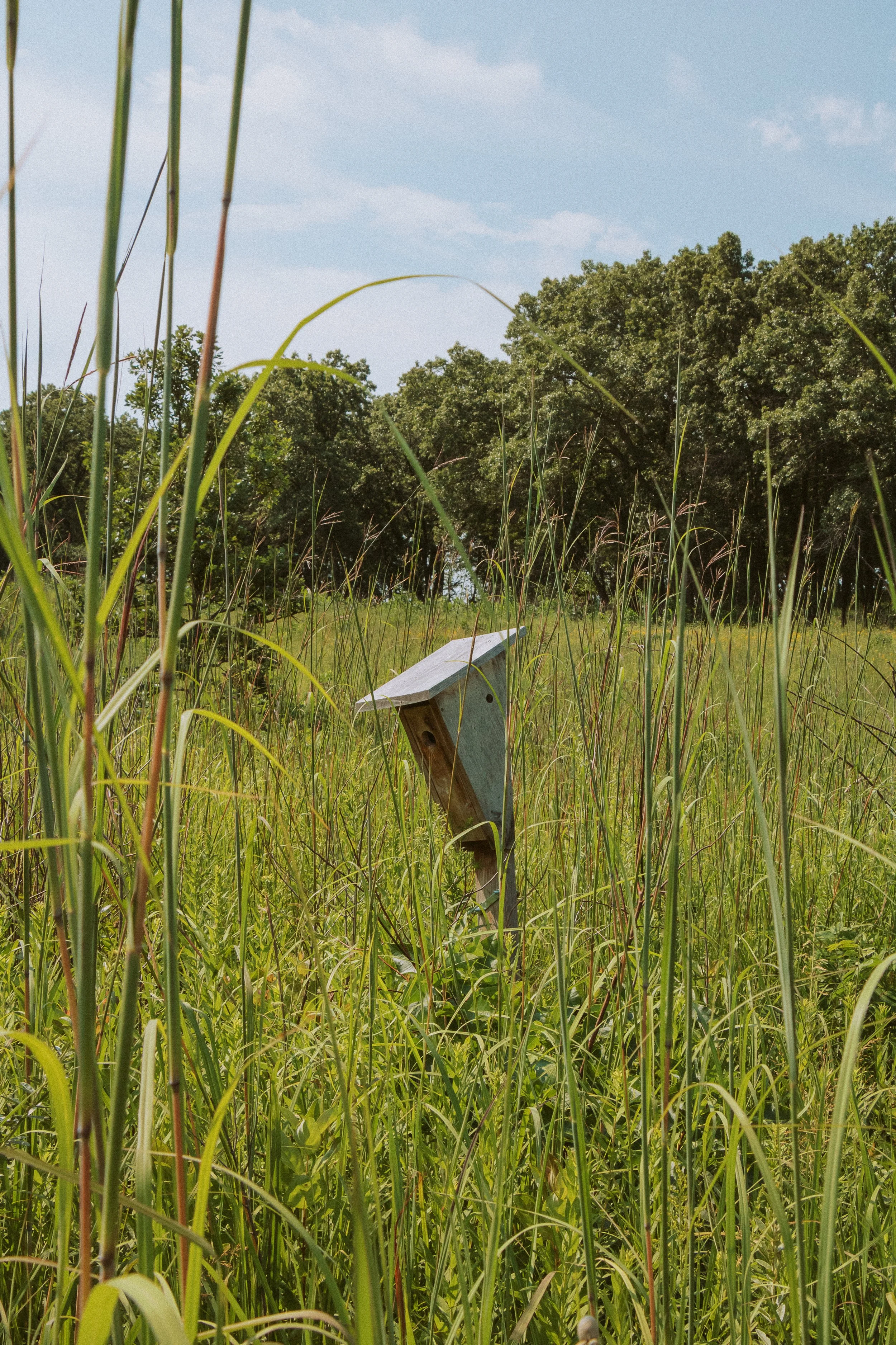 Prairie Birdhouse