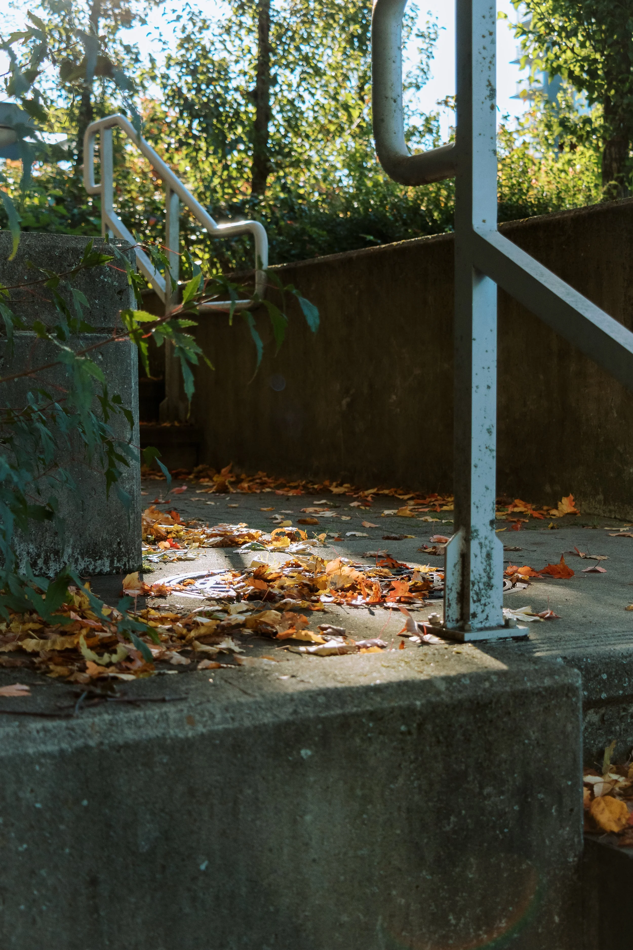 Fall Feelings.jpg