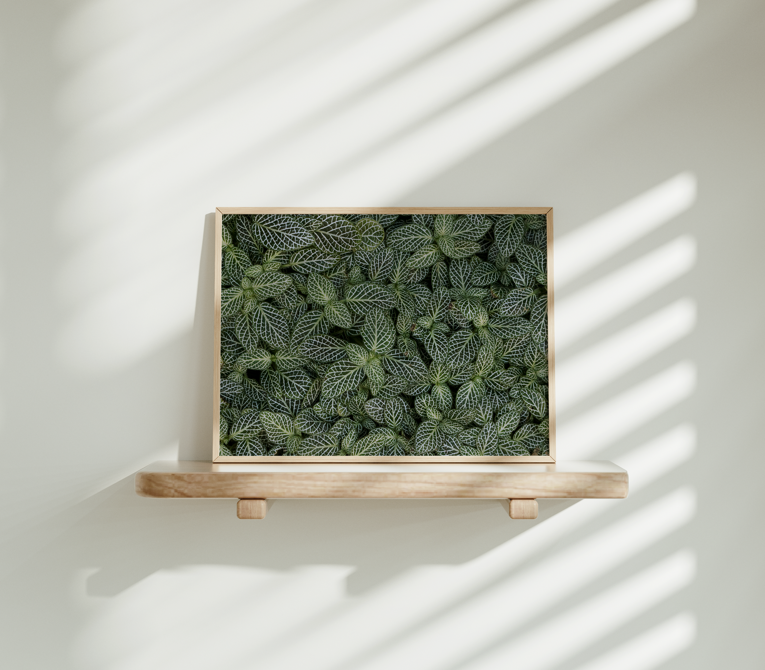 Nerveplant Sample.png