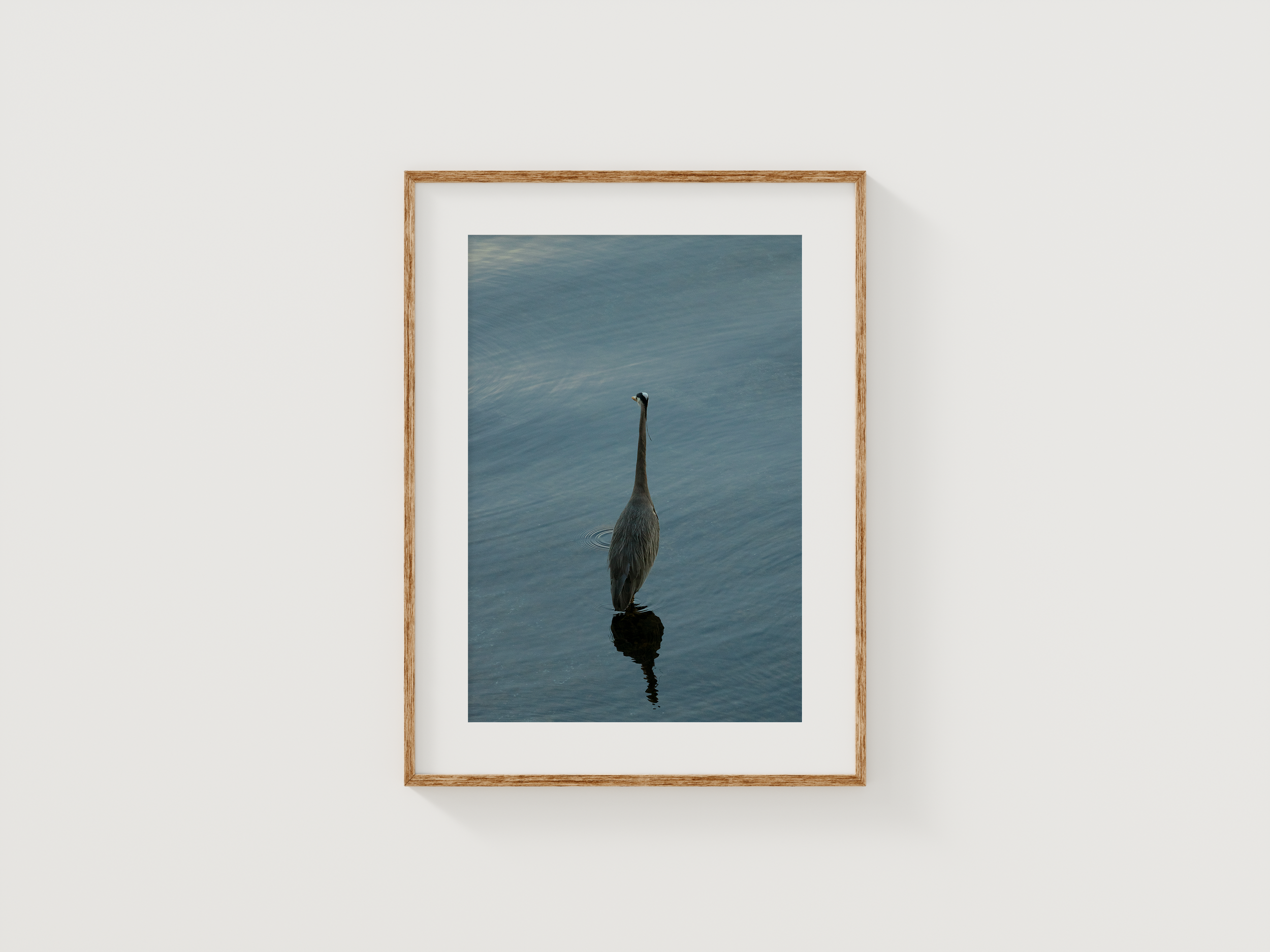 Fishing Heron Sample.png