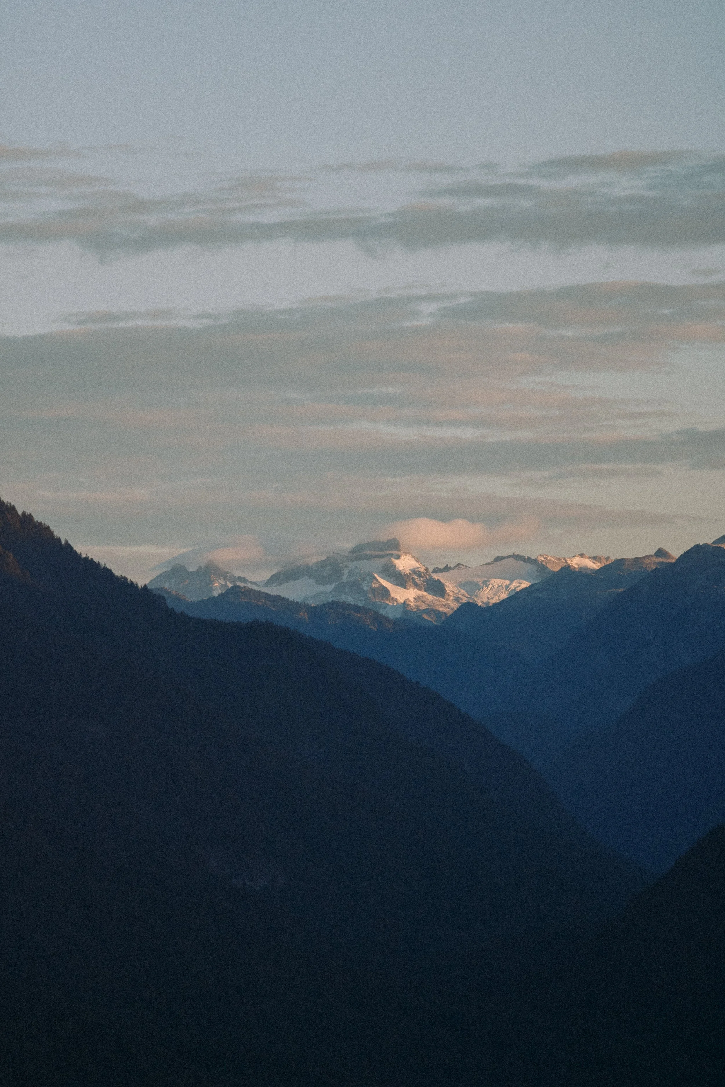 Purple Mountains.jpg