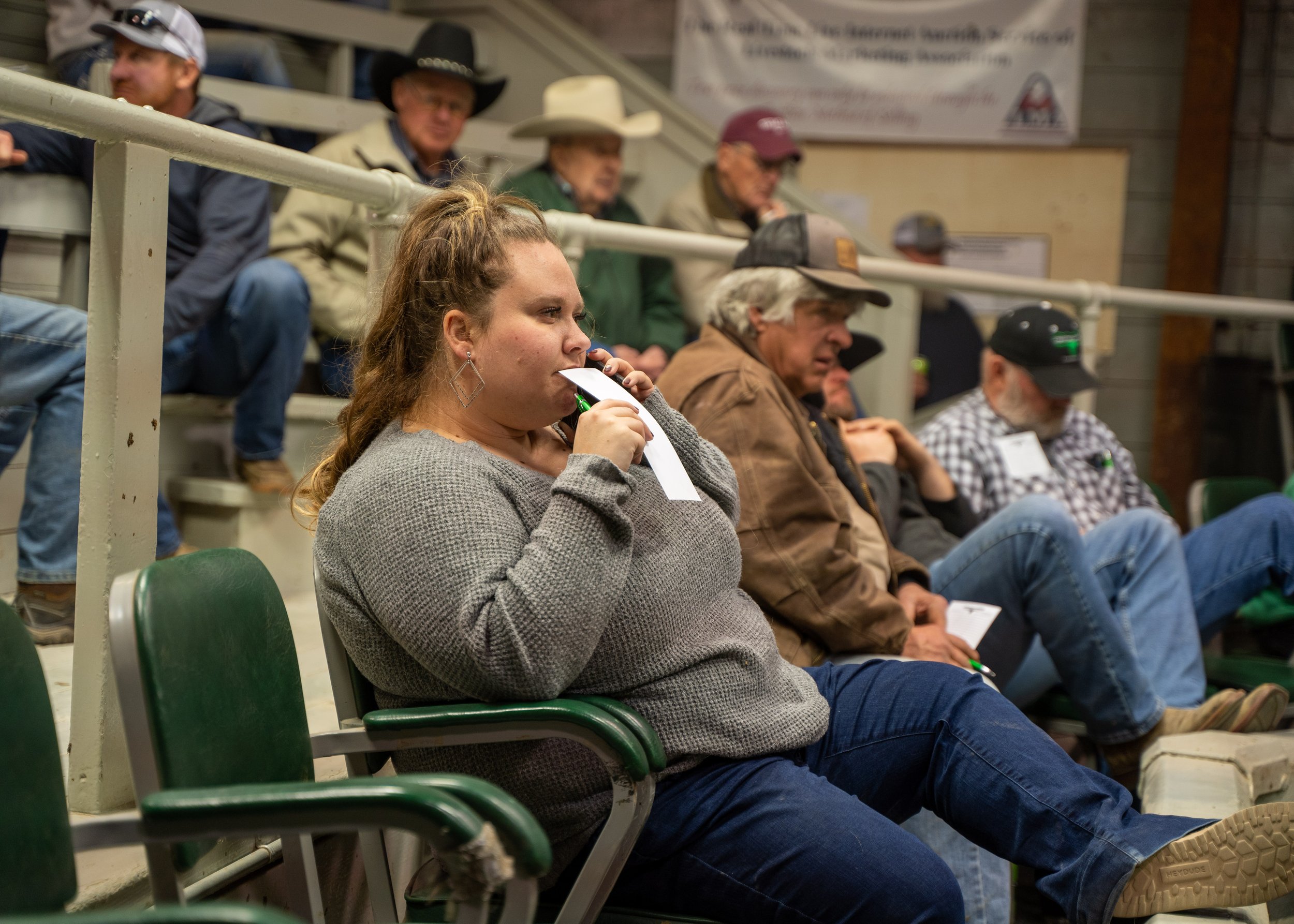 Cattle Markets, Buying & Selling