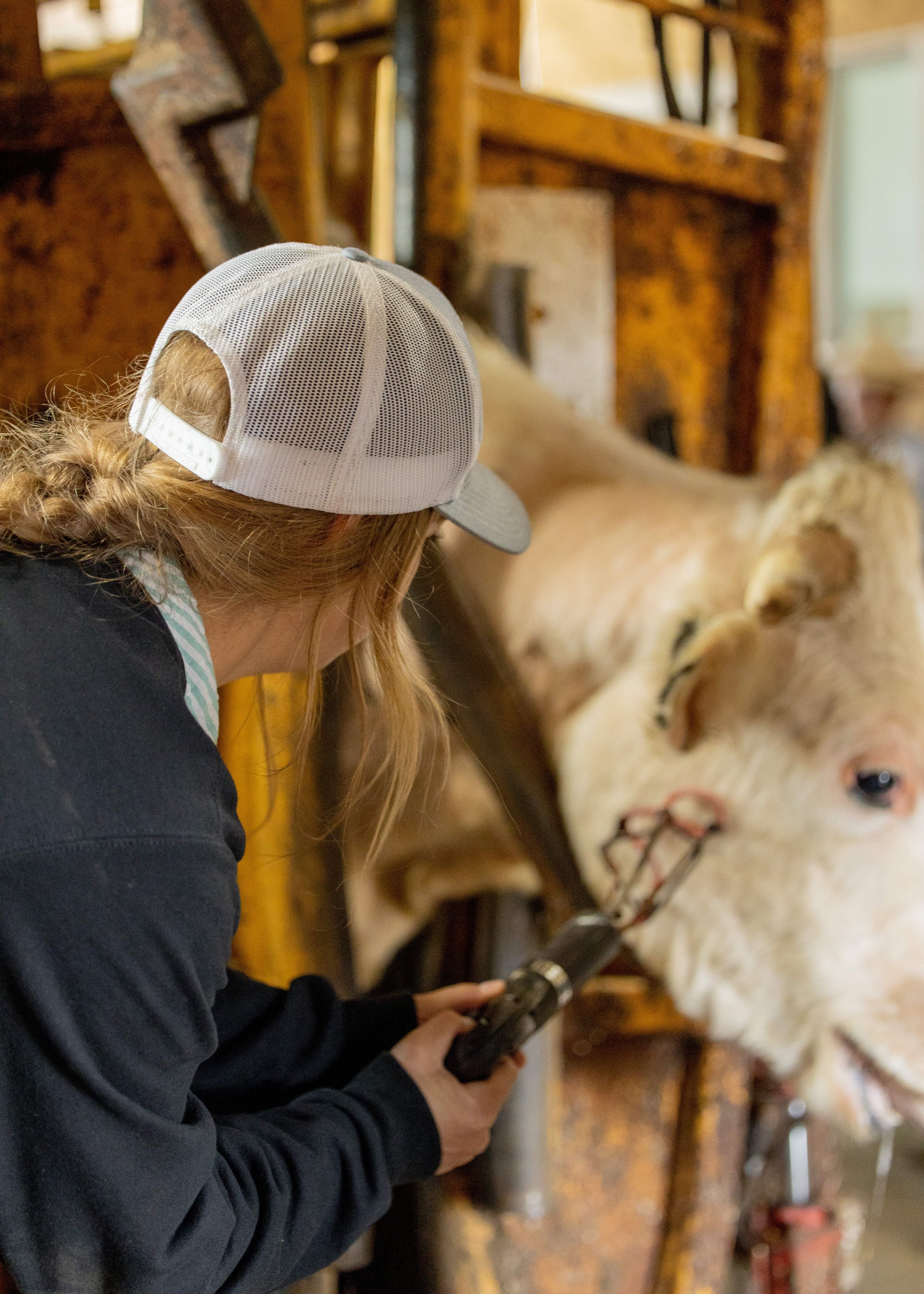 Our Story — Cattleman U