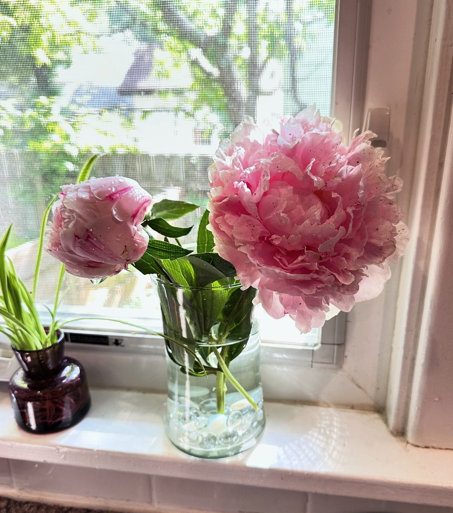 Tip for reclaiming your peace: Bring nature inside and place it where you can see it 🌸💕 These beauties are giving me a reminder to slow down and breathe. These tiny moments of pause are enough to change the trajectory of your whole day. Tell us in 