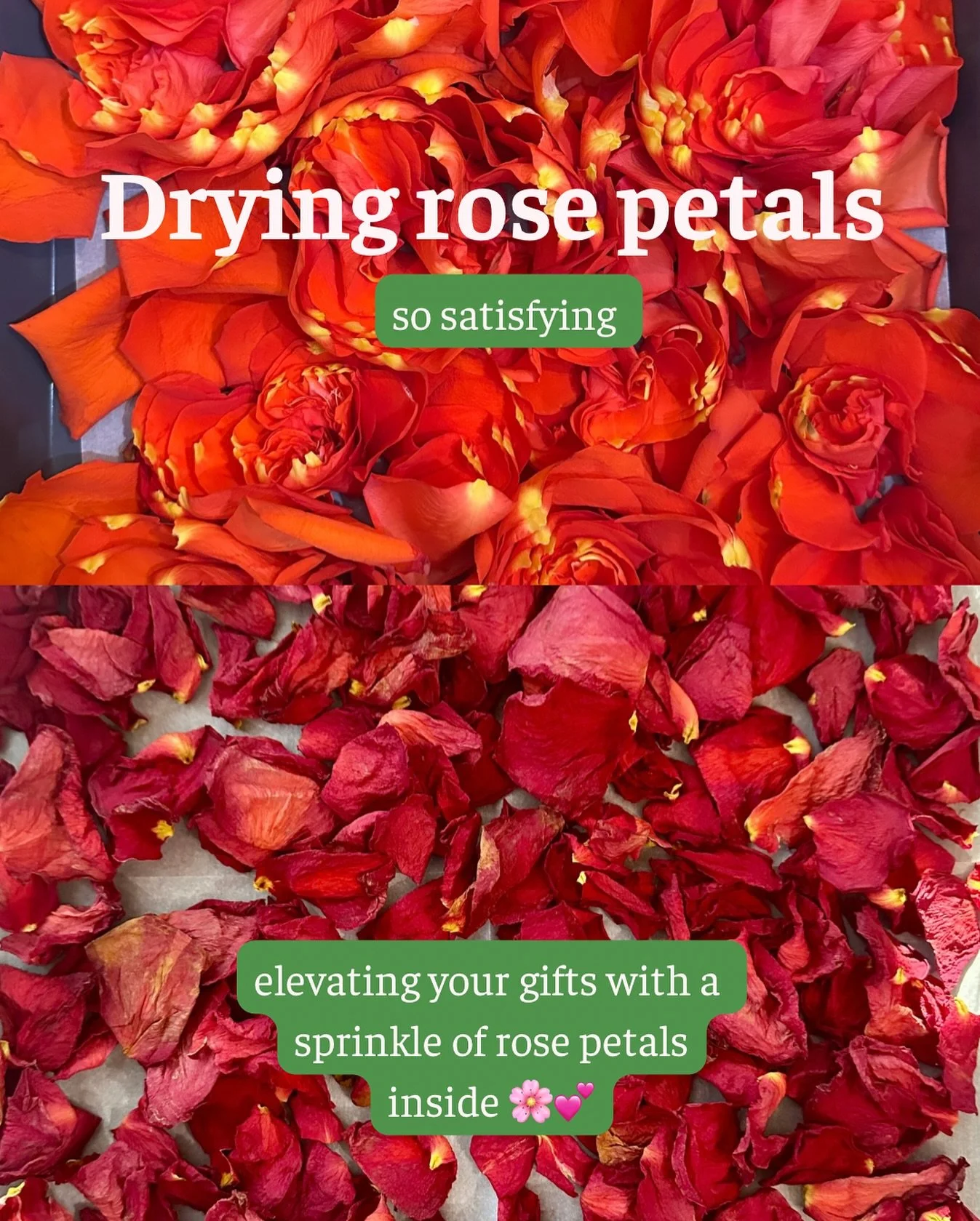 🌹 No such thing as too many flowers! 🌸 

I sprinkle dried rose petals all over the packaging for the 12 Days of Holiday Calm advent calendar and wherever else they can go!

I&rsquo;ve got advent calendars ready to ship at a crazy discount ($65 down