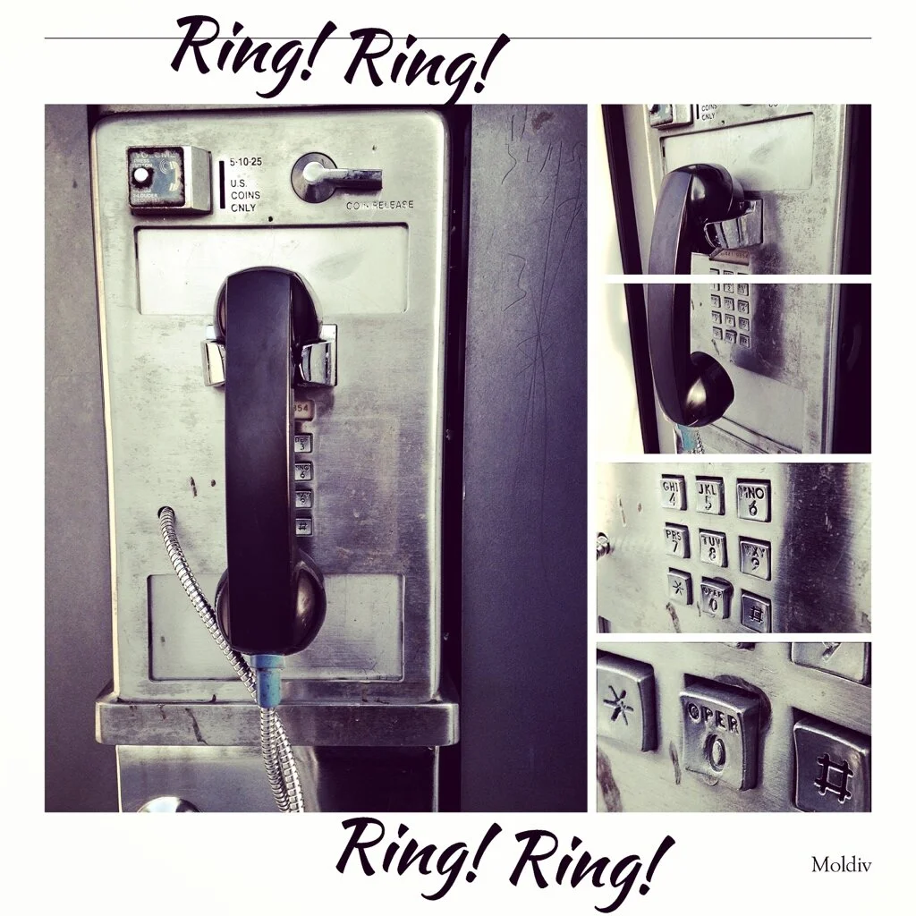 thumb_IMG_0561_1024 3.jpg