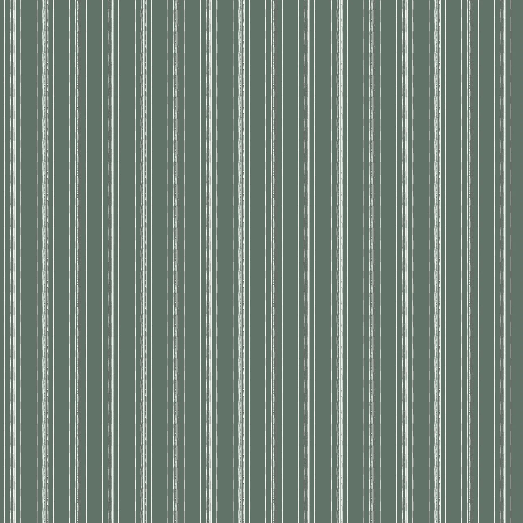 Coordinate 5 - Evergreen Stripe 8-2026-02.jpg