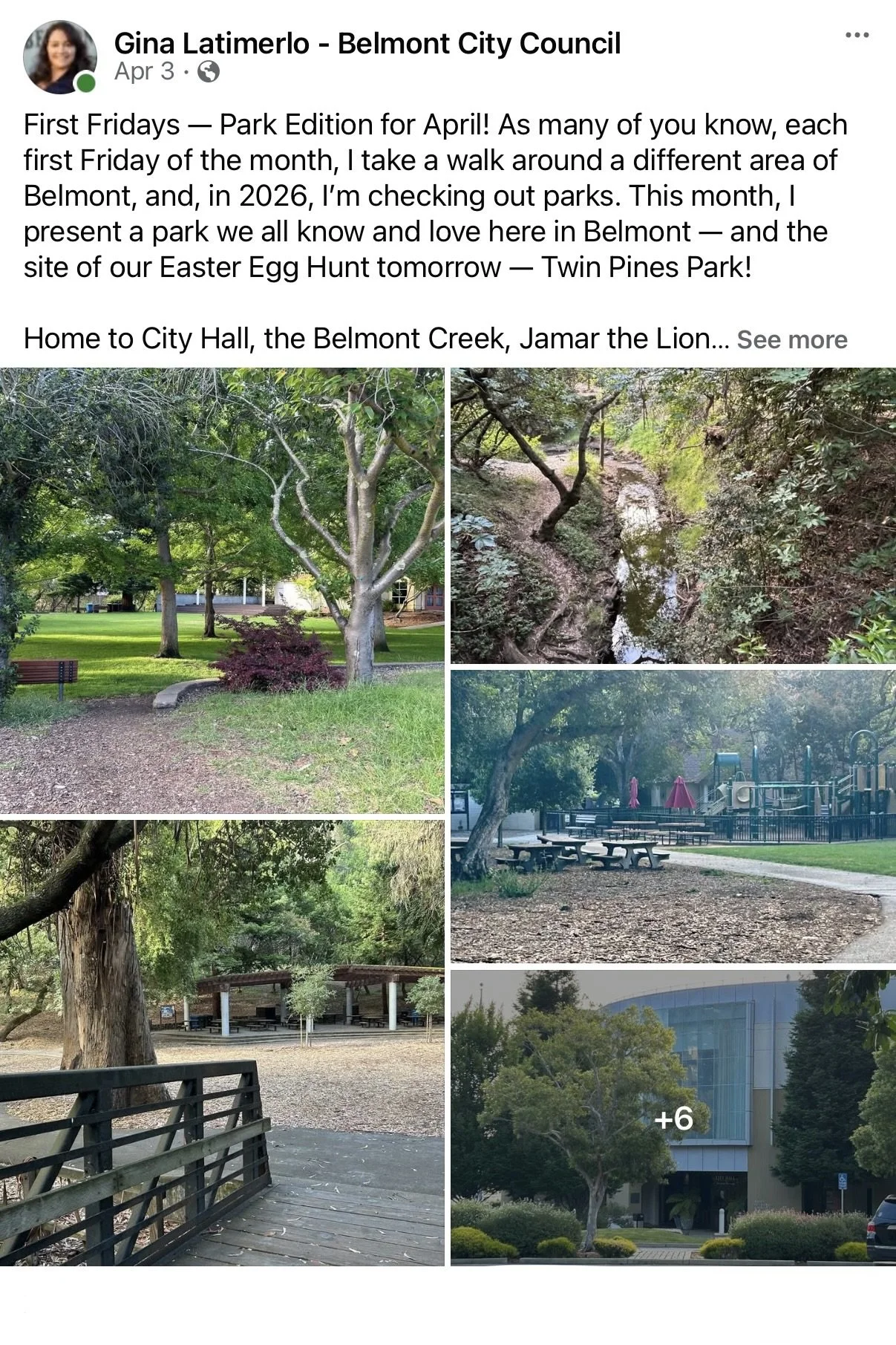 Parks: Twin Pines