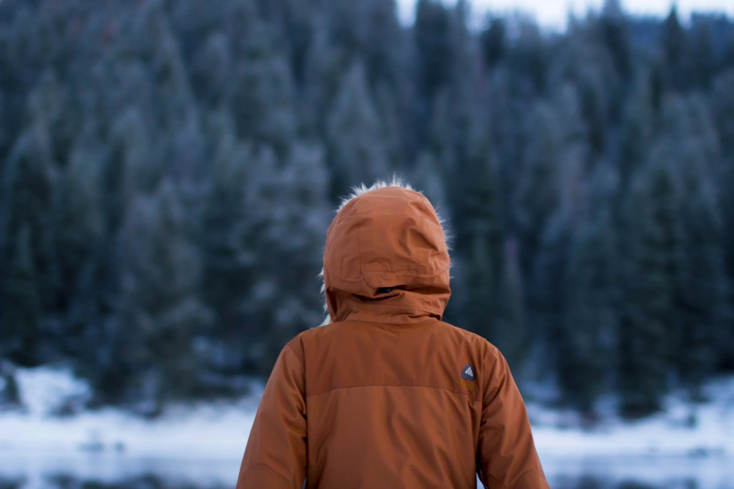 How to Support Your Immune System Through the Winter