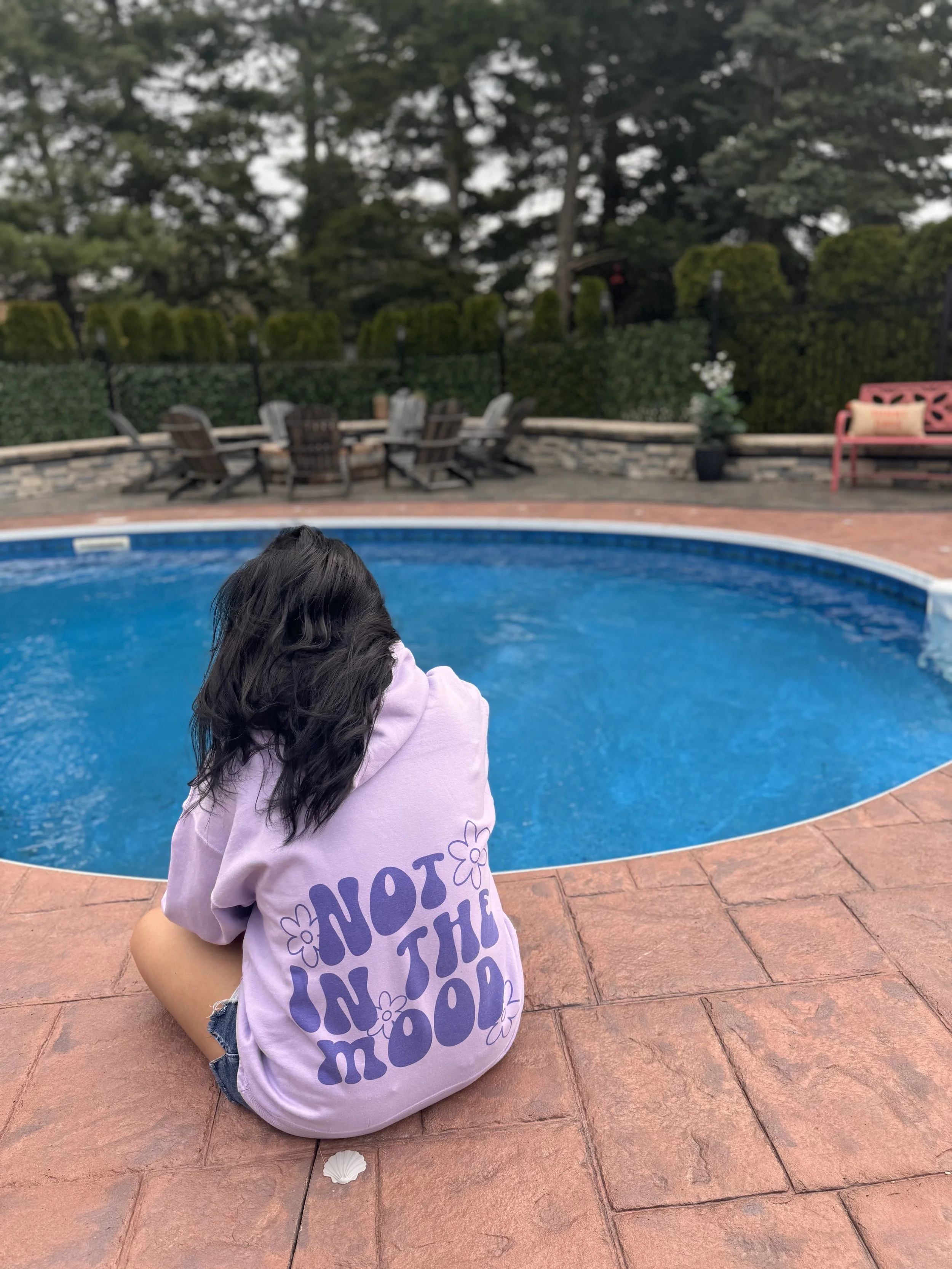 Not In The Mood Hoodie
