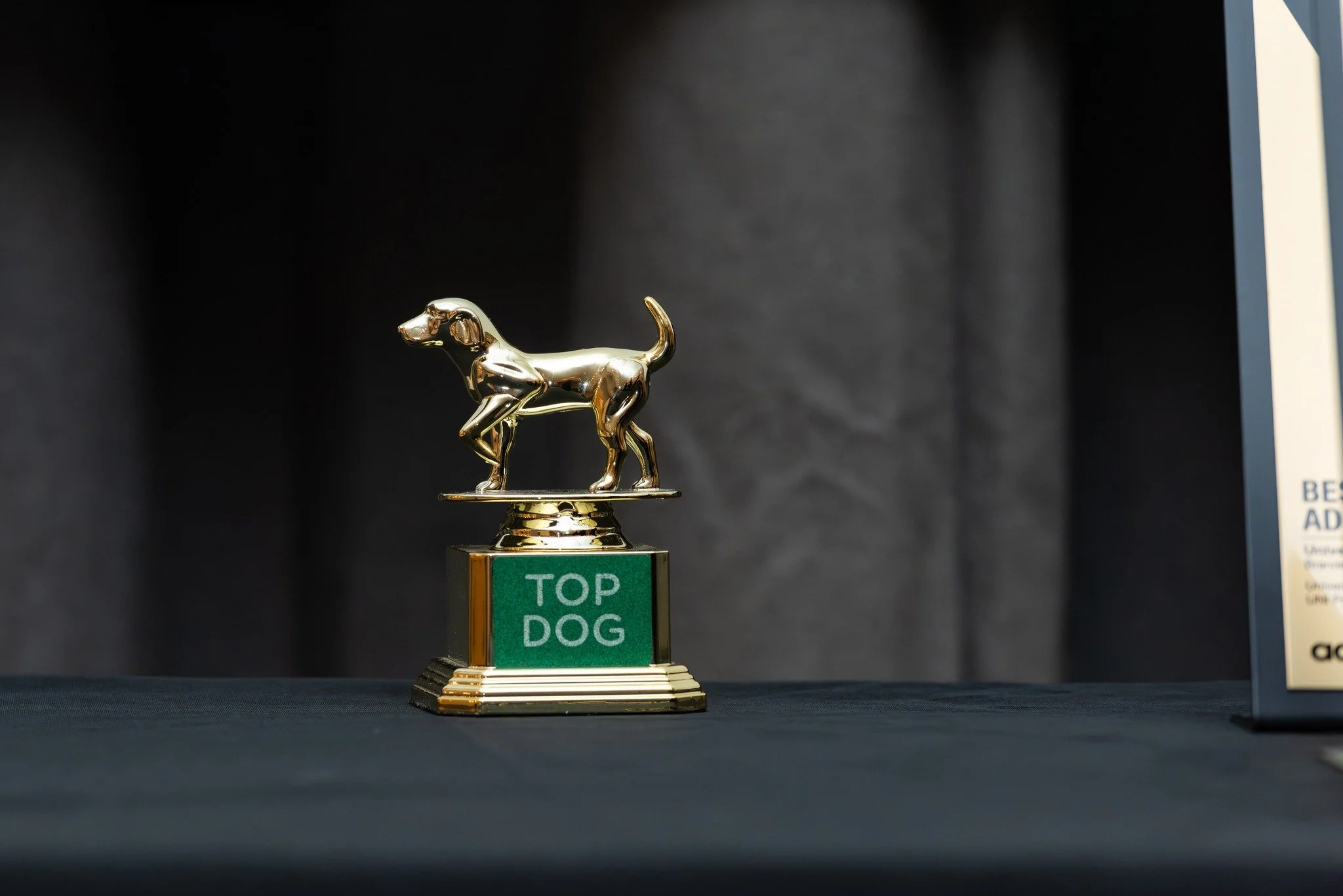 Marketing and Advertising Work in Cedar Valley Garners Awards