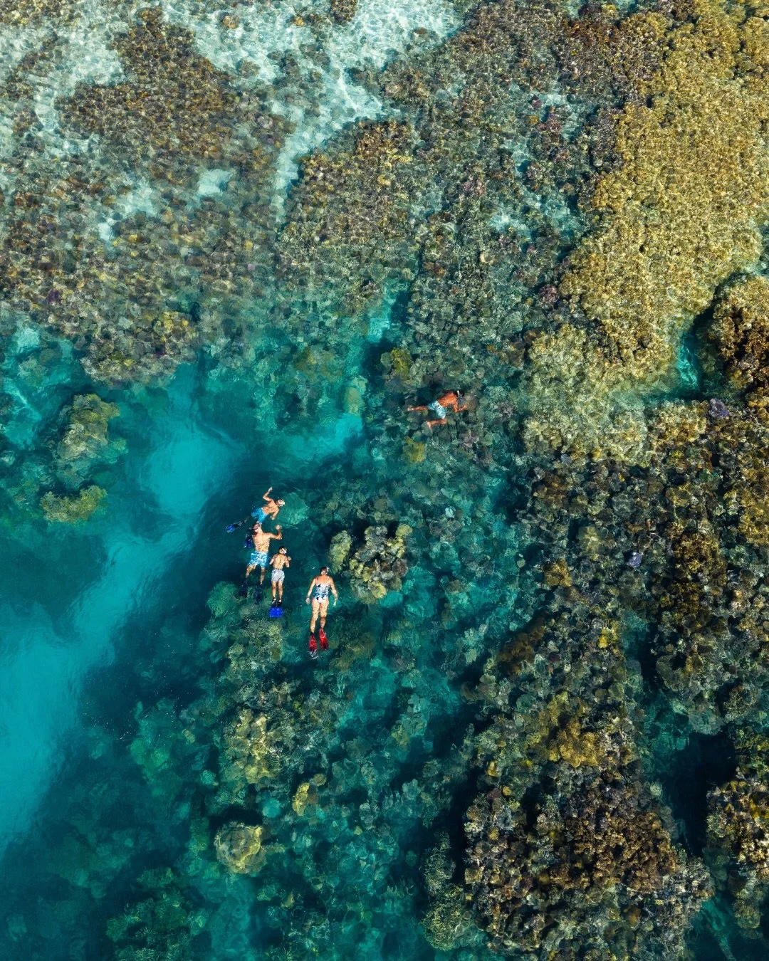 Aerial view of snorkelers swimming over a vibrant coral reef in clear turquoise water