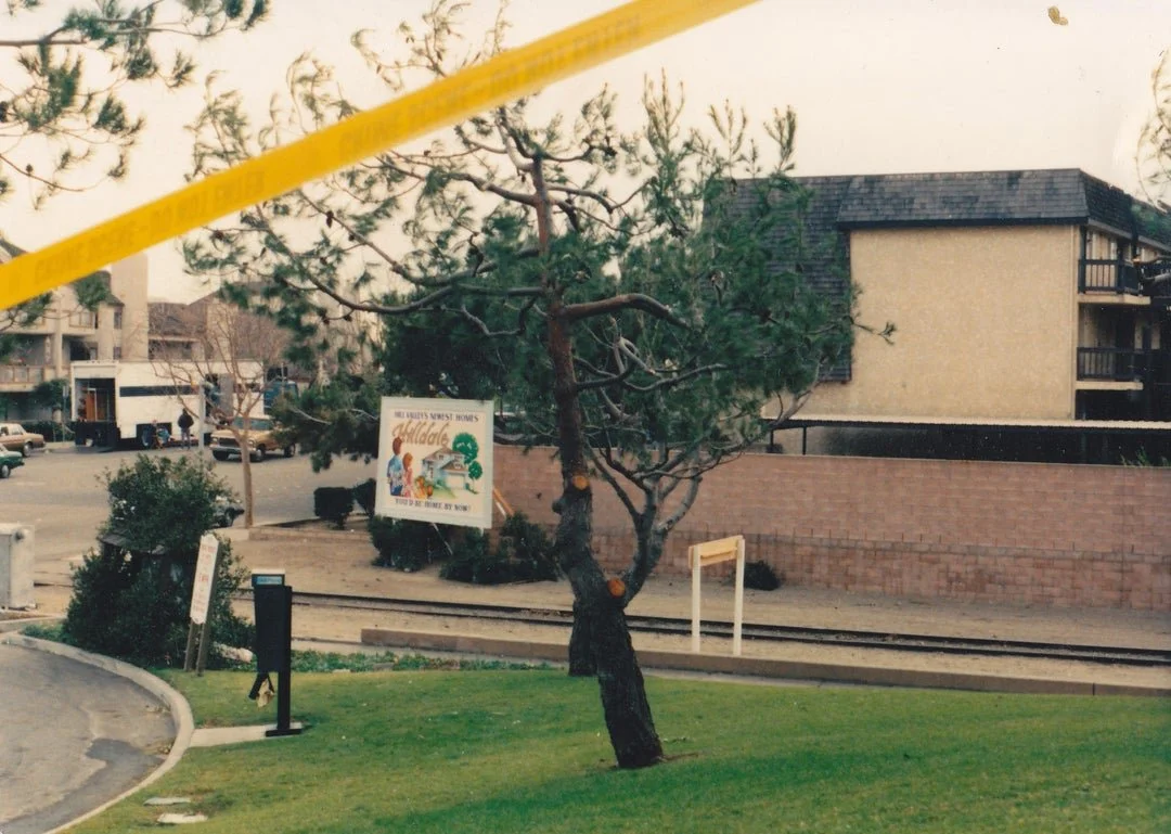 Back to the Future 3 Set Photos - Port Hueneme, CA - DeLorean vs. Train Wreckage - Eastwood Ravine "Bridge". Photo curtesy of reddit user 1point21gigawatz.