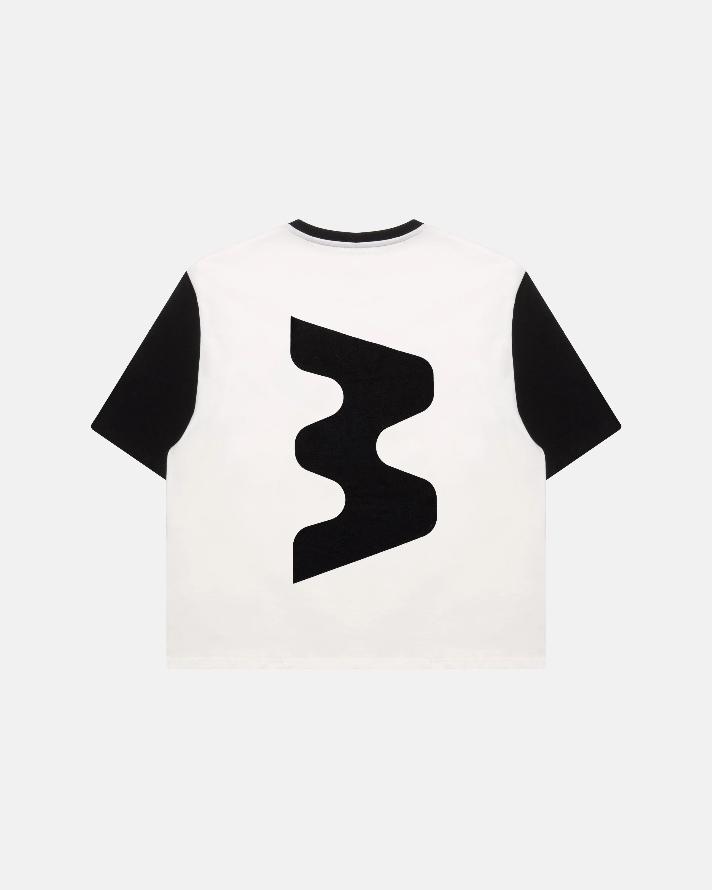 T-Shirt Back.jpg