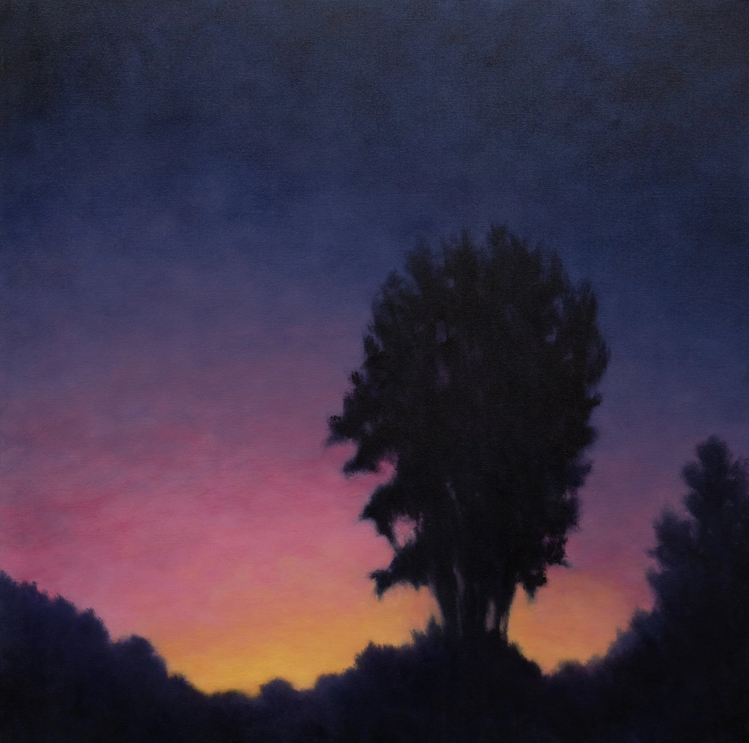 "Morning Sky - Tree" oil on canvas, 36" x 36"
