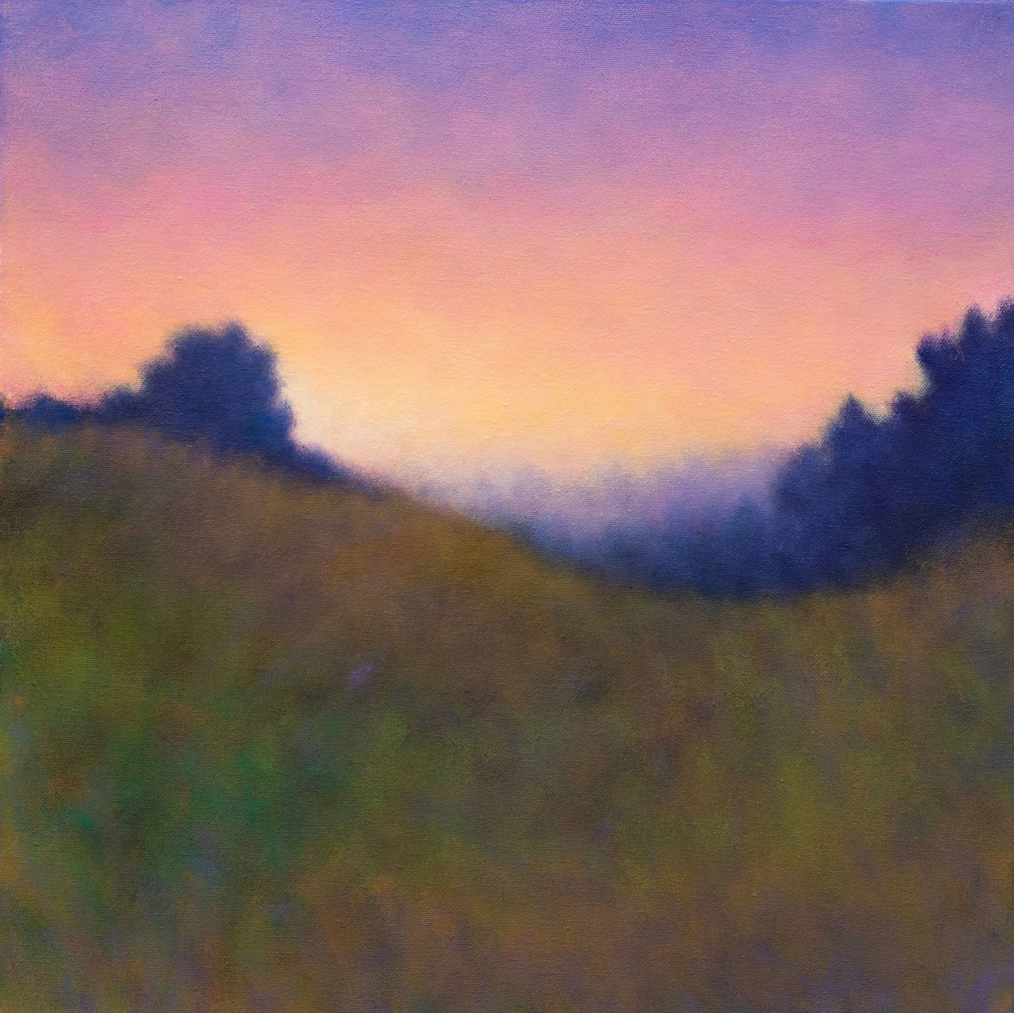 "Late Afternoon Light" oil on canvas, 20" x 20"