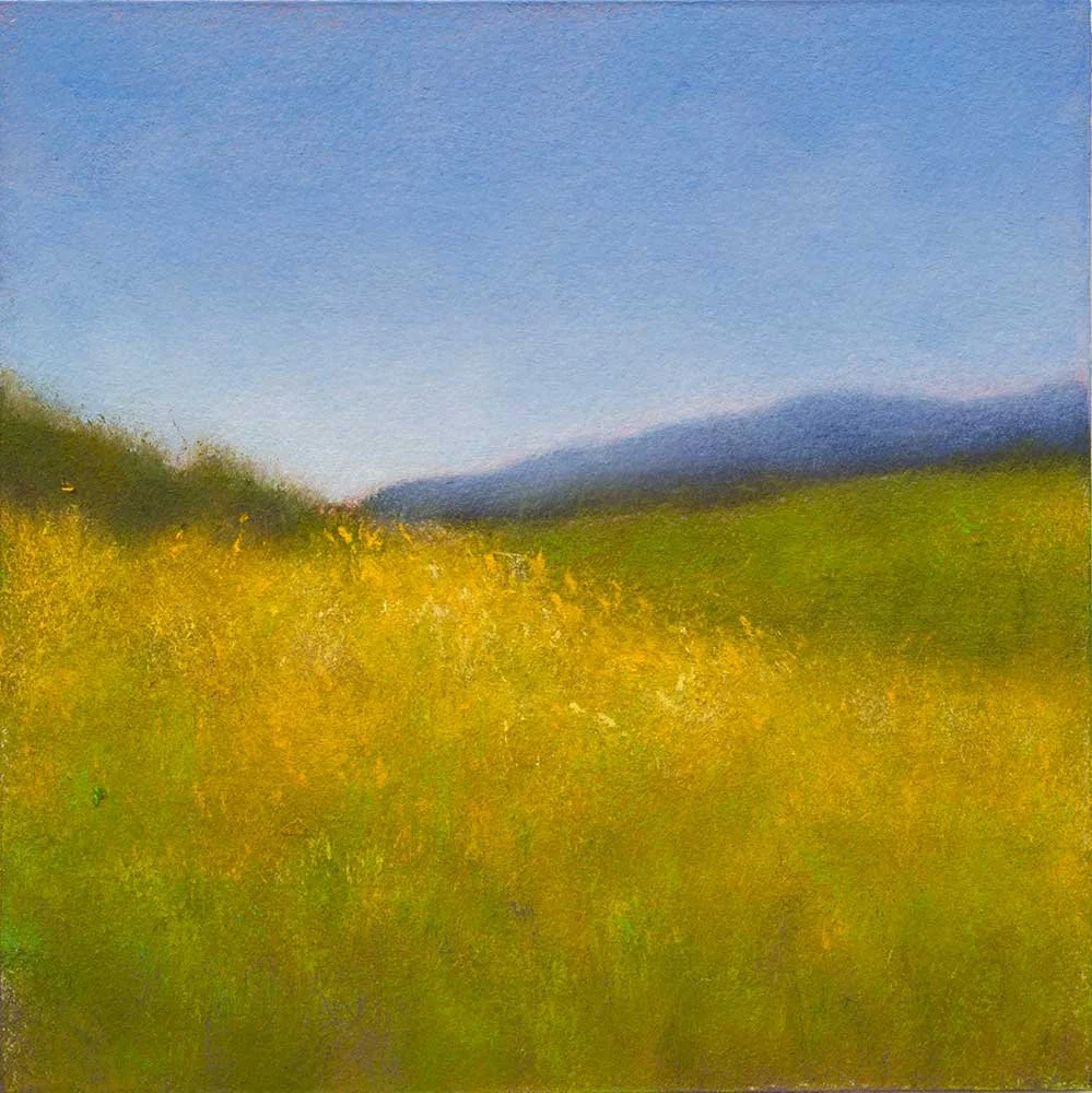 Veedell-mustard-flowers.jpg