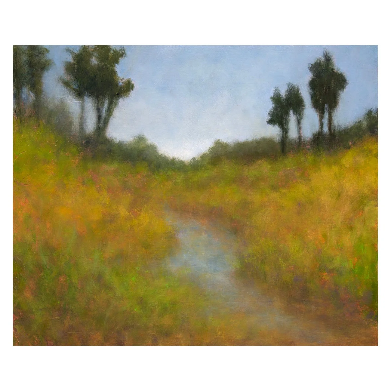 Veedell-Lobos-Creek-15x18.jpg