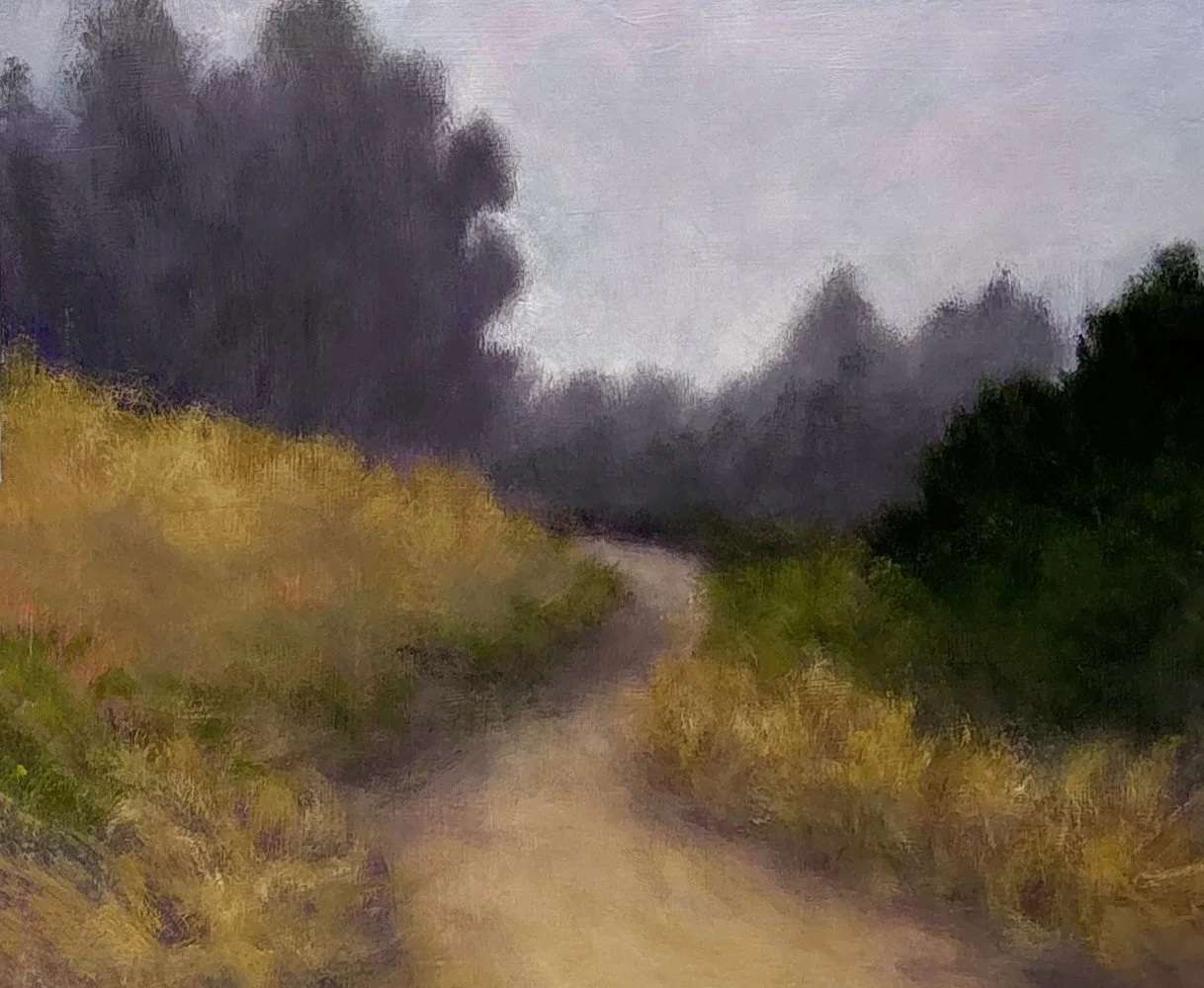 Veedell-in-the presidio.jpg