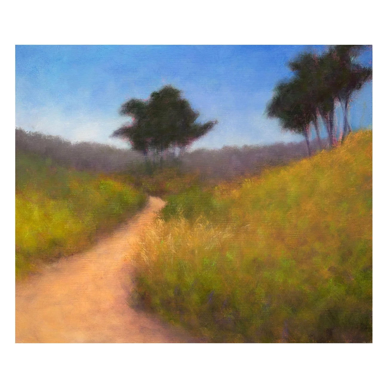 Veedell-Ecology-Trail.jpg