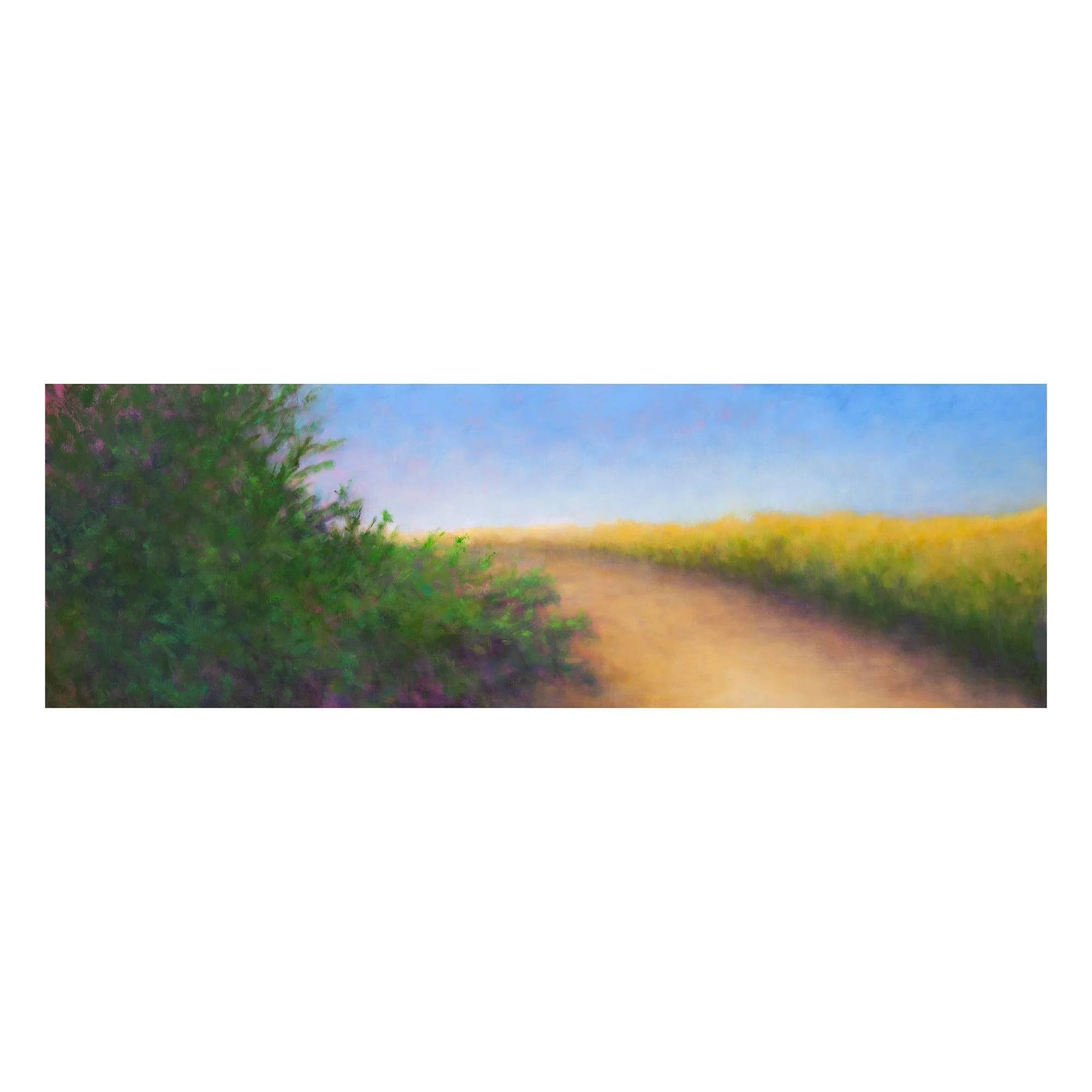 Veedell-Spring-Passage-20x60.jpg