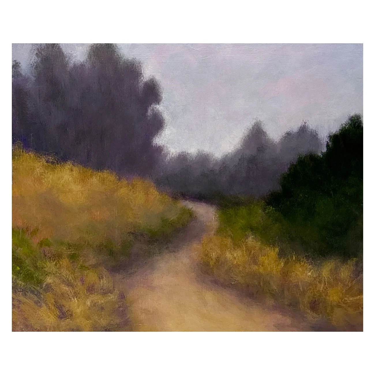 Veedell-in-the-presidio.jpg