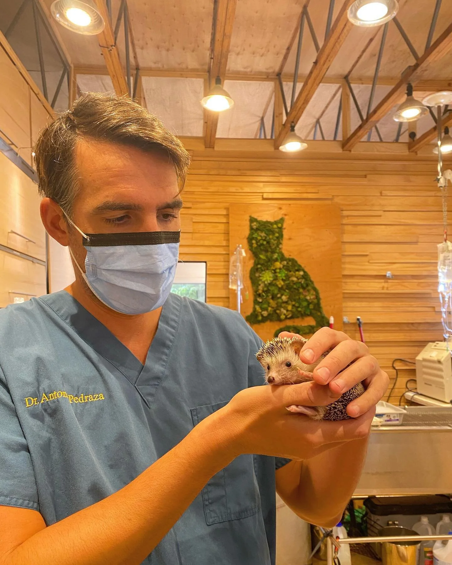 The benefit of working at different practices throughout Los Angeles is we get to cross paths with cool animals you don&rsquo;t see very often. Thanks to our friends at @malibuvetclinic for letting us see these two amazing creatures up close 💚