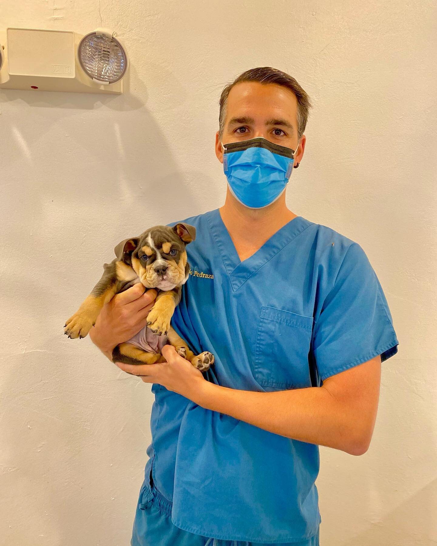Happy birthday to Dr. Pedraza! His passion for helping animals in need go beyond the surgical table. The video in this post is him assisting a cat he performed a spinal surgery on for a paralyzed patient. (To remove a bullet lodged in the spine) The 