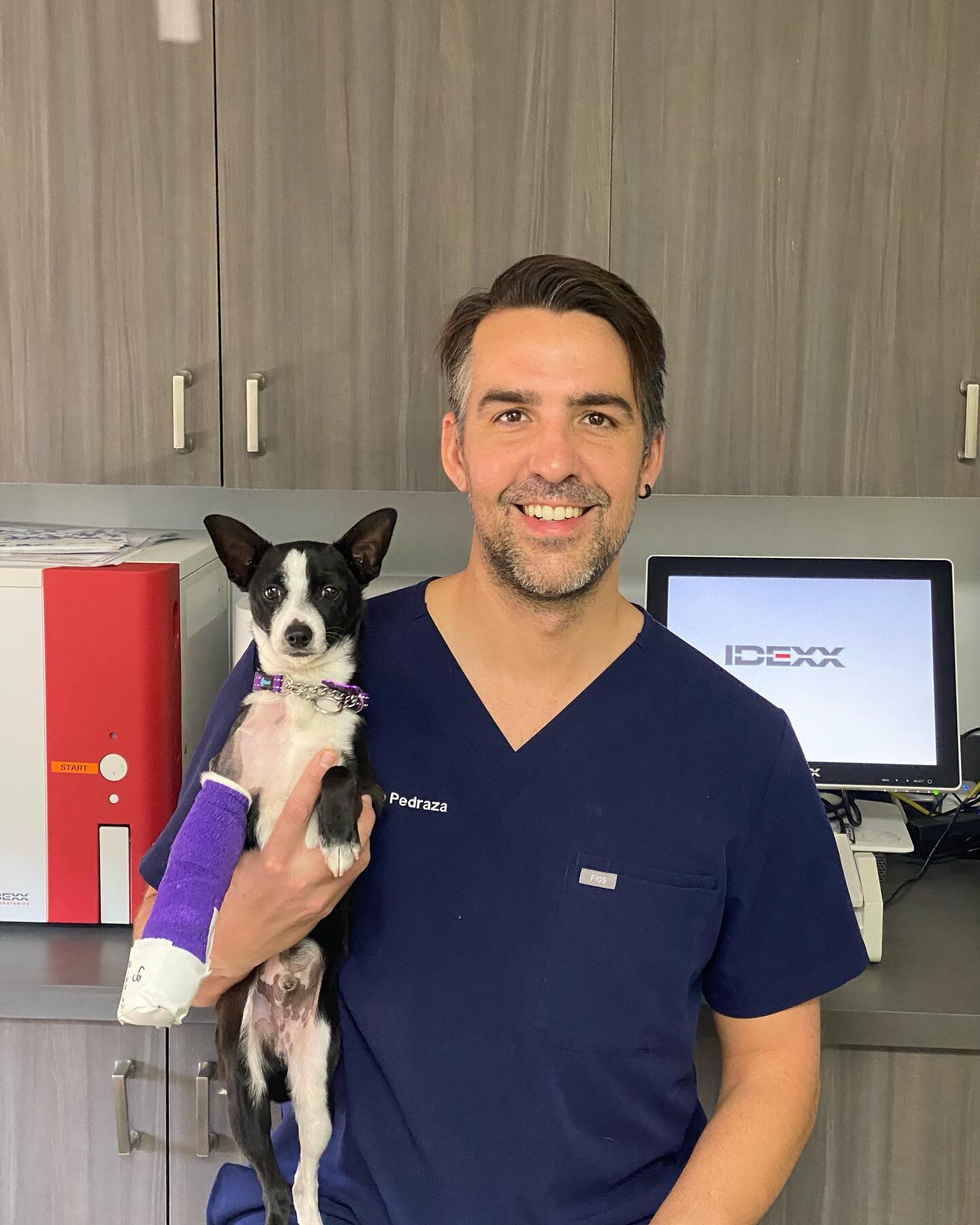 With my patient Sylvester a few days ago. Thank you to @tobiessmalldogrescue and @hopeforpawsrescue for bringing me this case. We are happy that this sweet pup will be able to get adopted to fantastic home very soon. The fracture repair was excellent