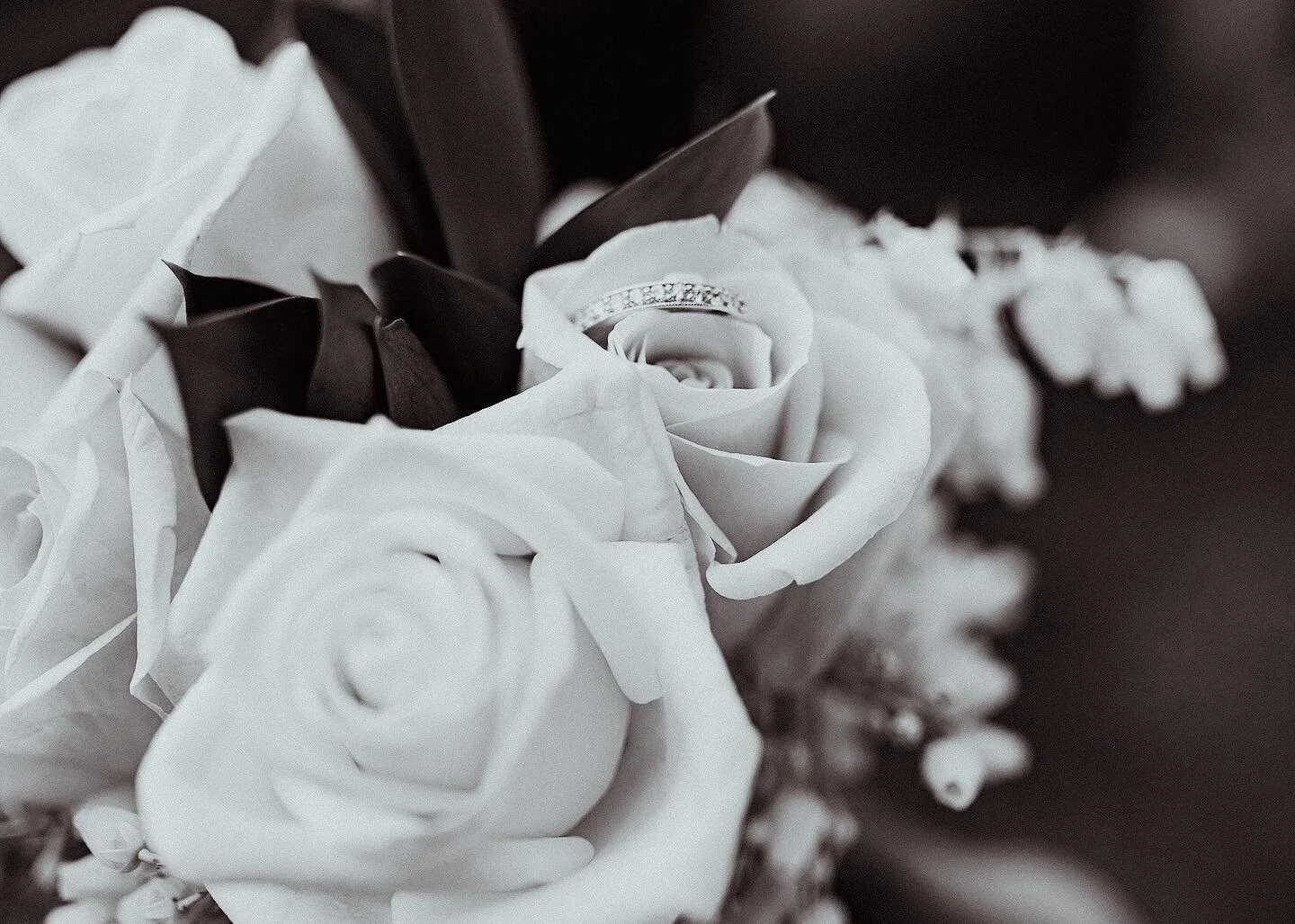 little detail shot for your Sunday evening 💍🖤🤍

#queenstownphotographer #queenstownweddingphotographer #queenstownelopementphotographer #queenstownelopement #christchurchwedding #christchurchweddingphotographer #christchurchelopementphotographer #