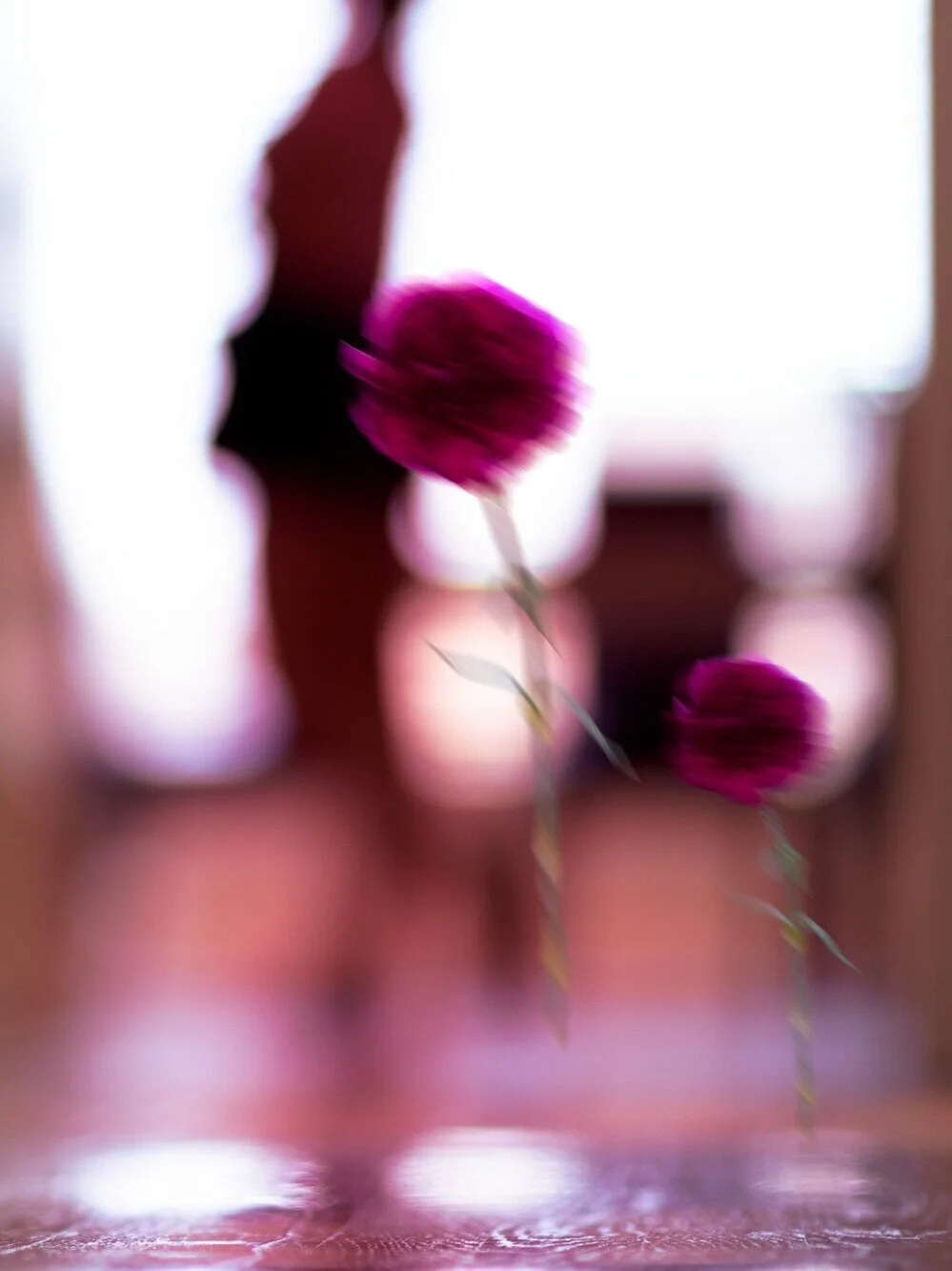 aguerra_carnation__2_091421.jpg