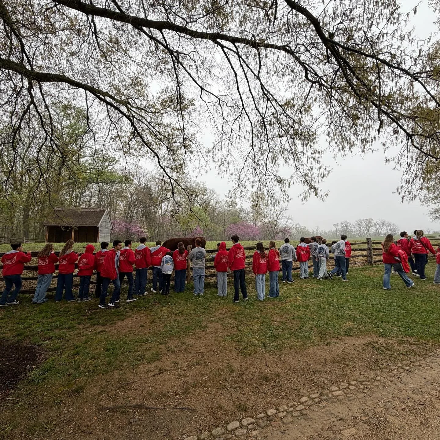 Last day in Washington, D.C. for the Class of 2026! 🇺🇸

Our 8th graders explored Mount Vernon, the historic home of George Washington, where they walked the grounds, toured his beautifully preserved estate, and learned more about his life, leadersh