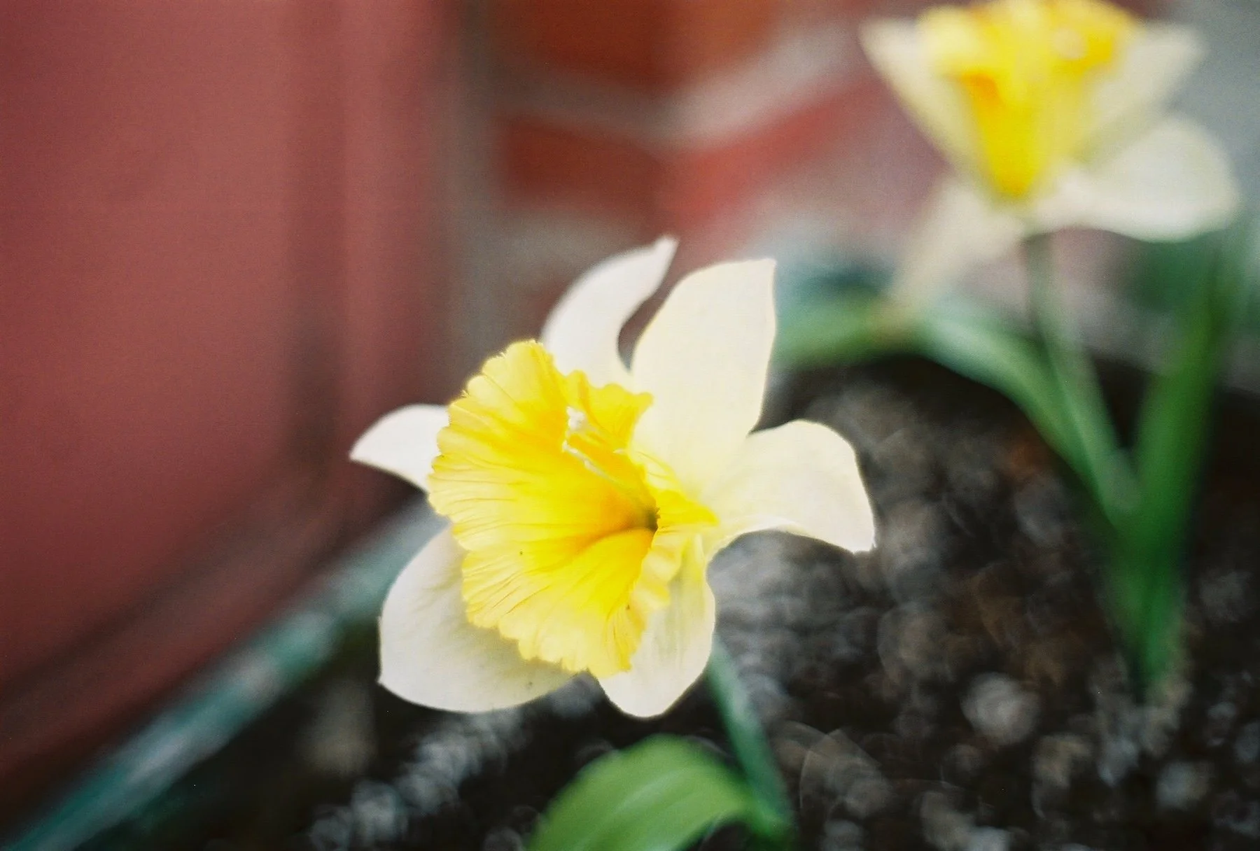 Verbs &amp; Possibility