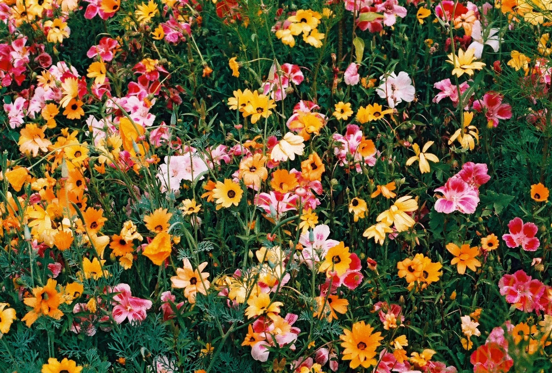 The Seasons of Writing